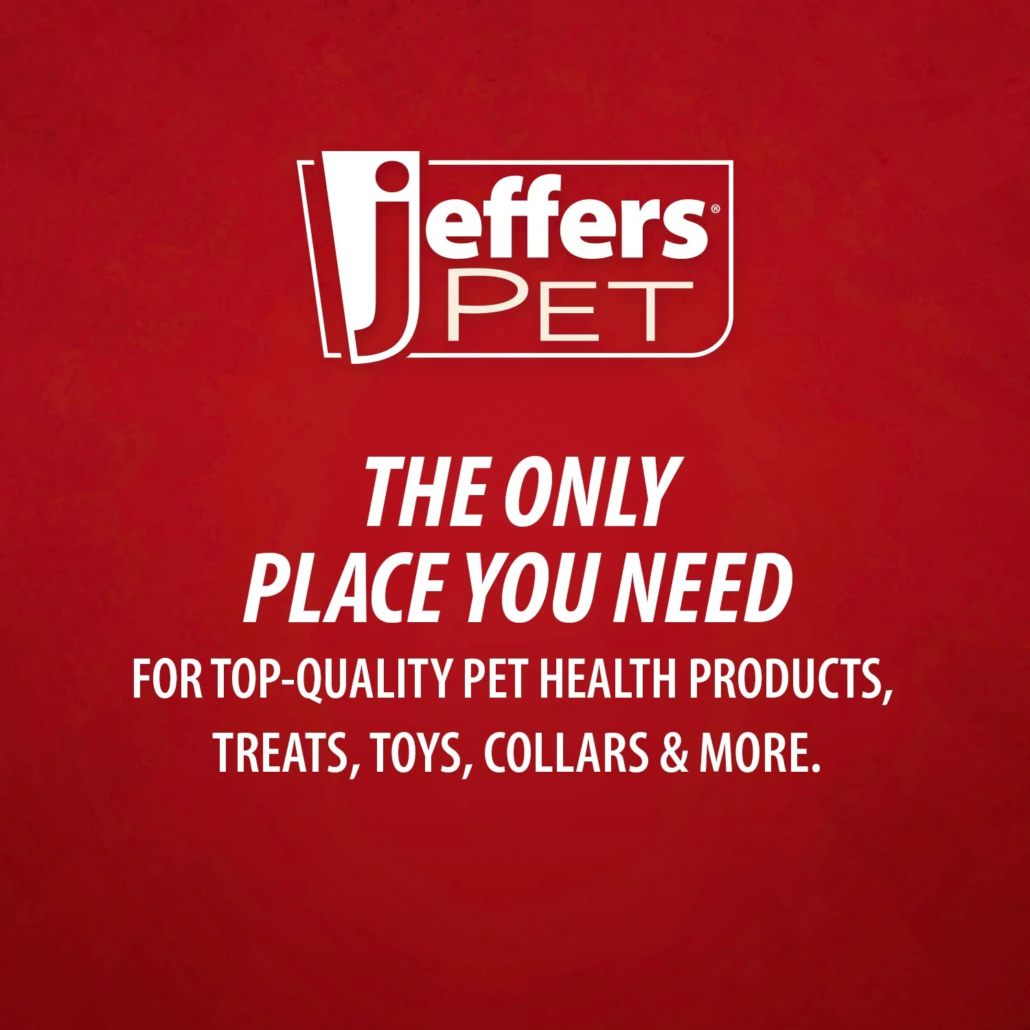 Jeffers Tick Remover Tool For Pets - Image 3