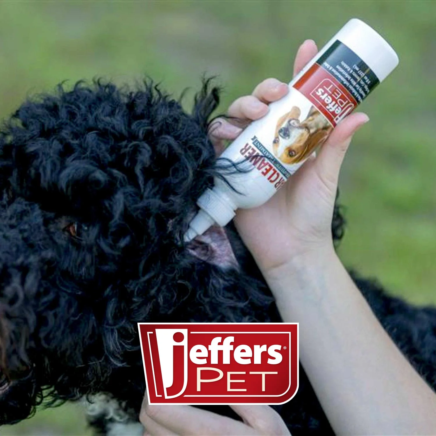 Jeffers Pet Ear Cleaner Solution for Dogs, Cats, Ferrets & Rabbits – Soothes, Cleans, and Deodorizes with Aloe Vera & Eucalyptus - Image 3