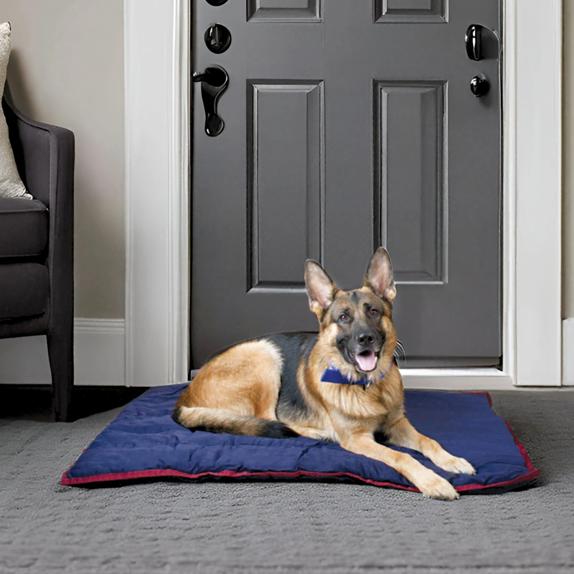 Jeffers Pet Washable Comfy Dog Pillow for Crates, Carriers, or Lounging - Image 2