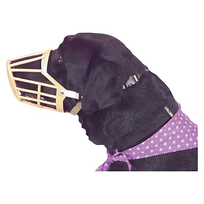 Jeffers Plastic Dog Muzzles with Nylon Web Adjustment Straps - Image 2