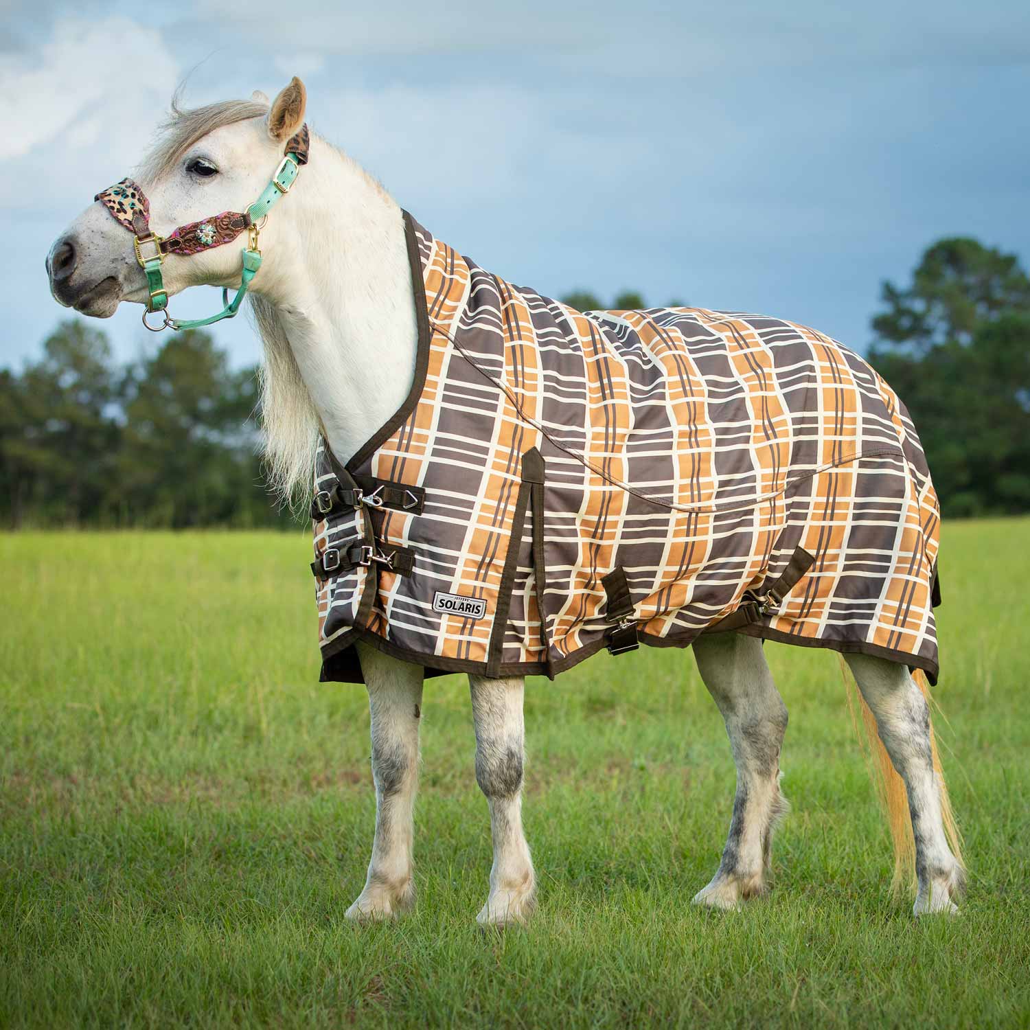 Jeffers Pony Poppins Solaris 1200D Extended Neck Medium Pony Horse Turnout Blanket, Brown & Cream Plaid - Image 1