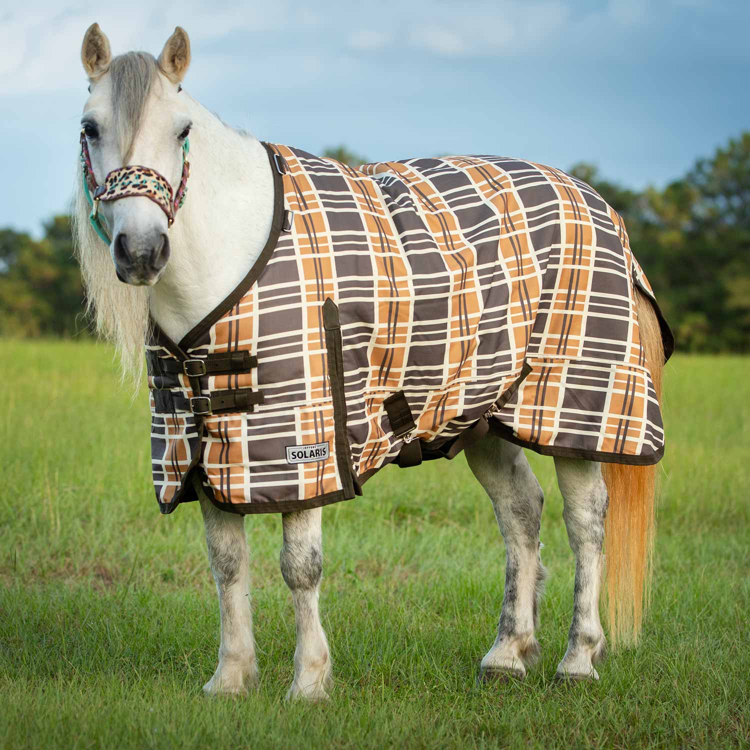 Jeffers Pony Poppins Solaris Horse Turnout Sheet for Ponies, Brown & Cream Plaid - Image 1
