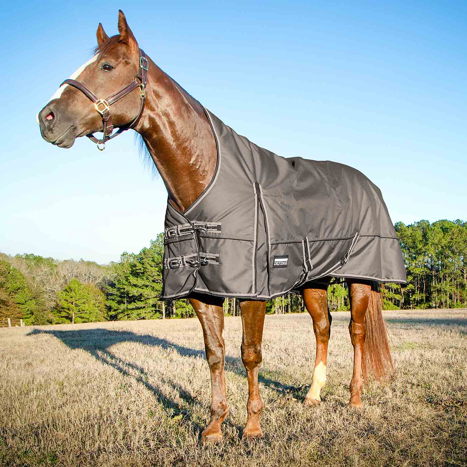 Jeffers Poplar Head "Defense" 1680 Denier Turnout Blanket with High Neck, 240 Gram, Plymouth Brown - Image 1