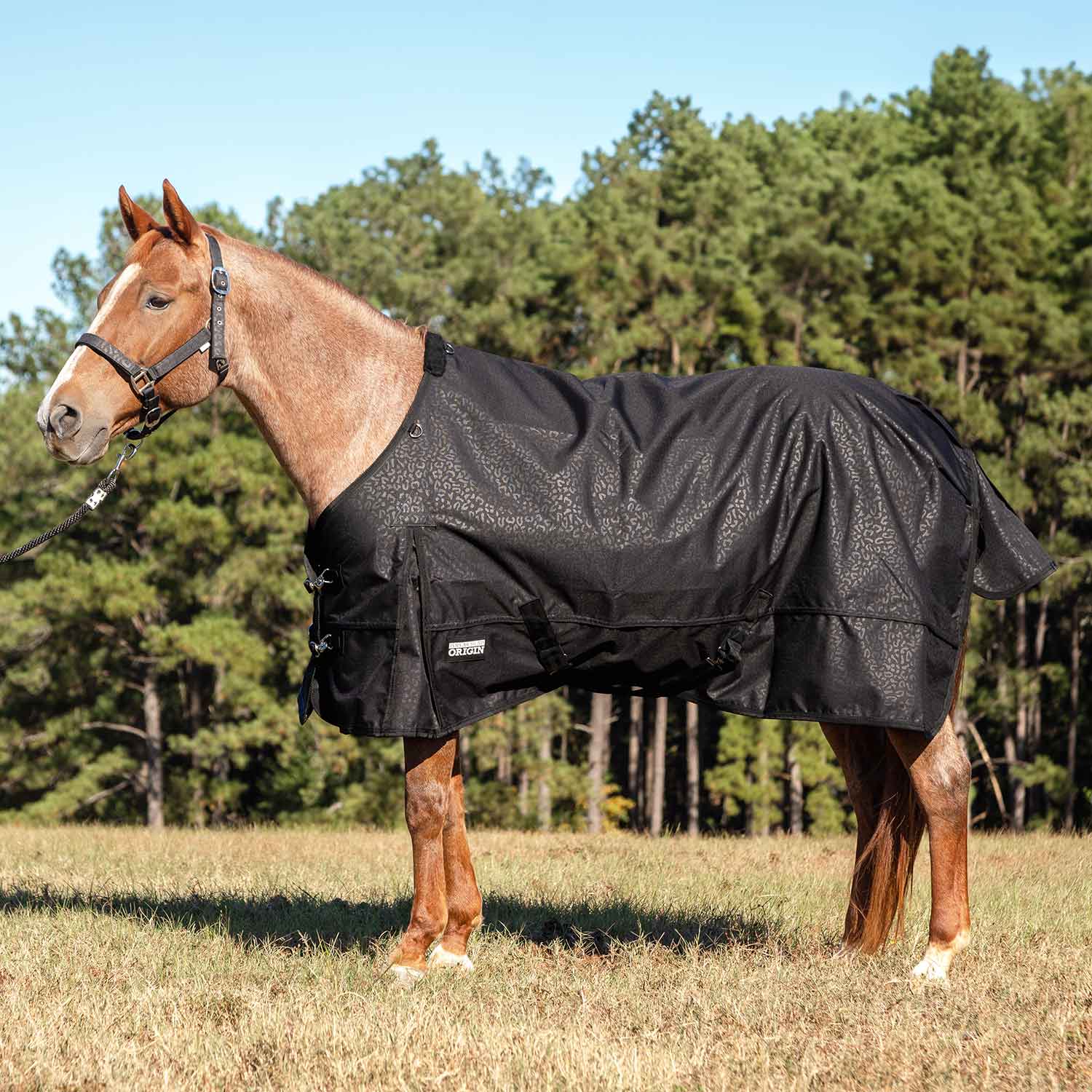 Jeffers Poplar Head "Origin" 600D Medium Weight Turnout Blanket, 240g | Waterproof & Breathable Horse Blanket - Image 1