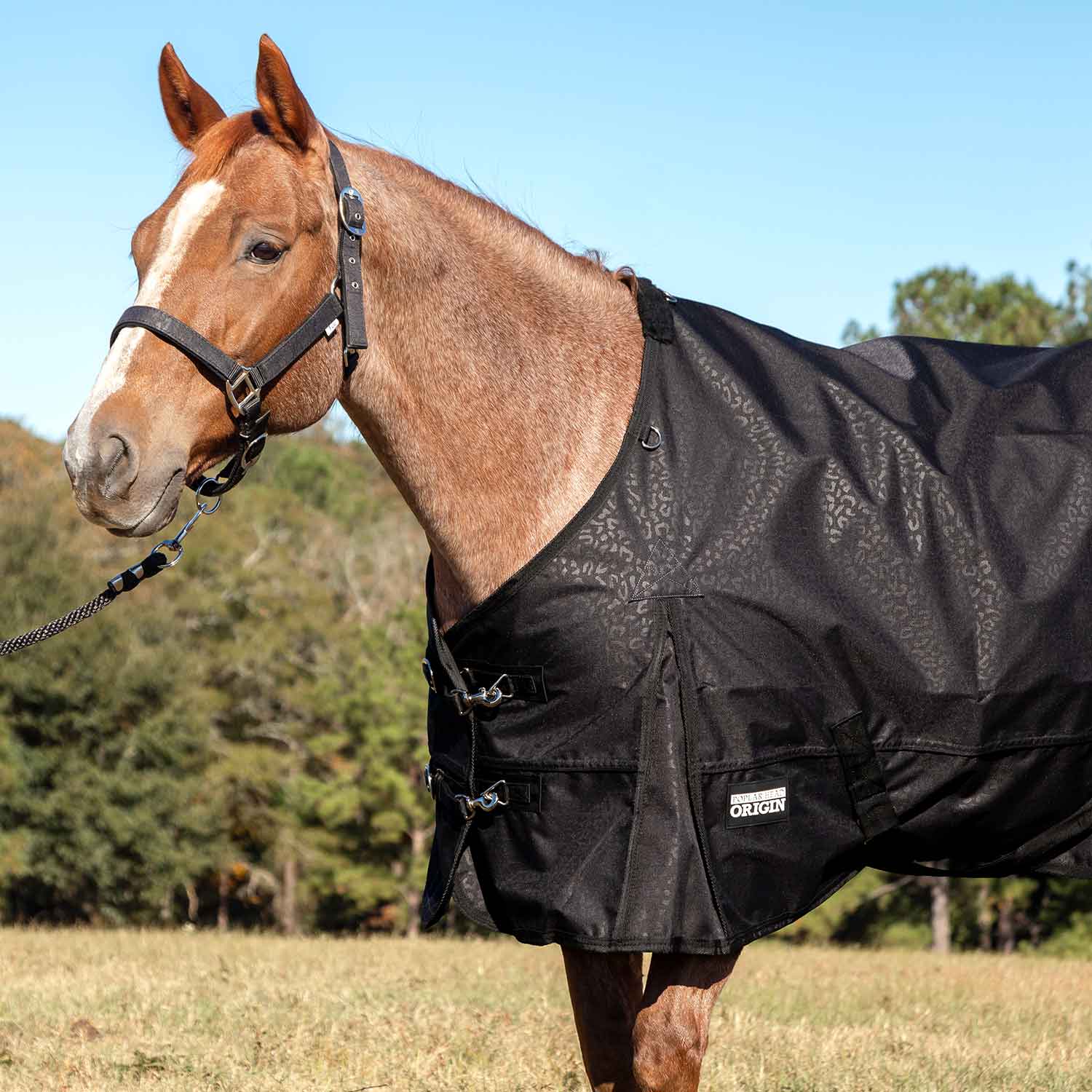 Jeffers Poplar Head "Origin" 600D Medium Weight Turnout Blanket, 240g | Waterproof & Breathable Horse Blanket - Image 2