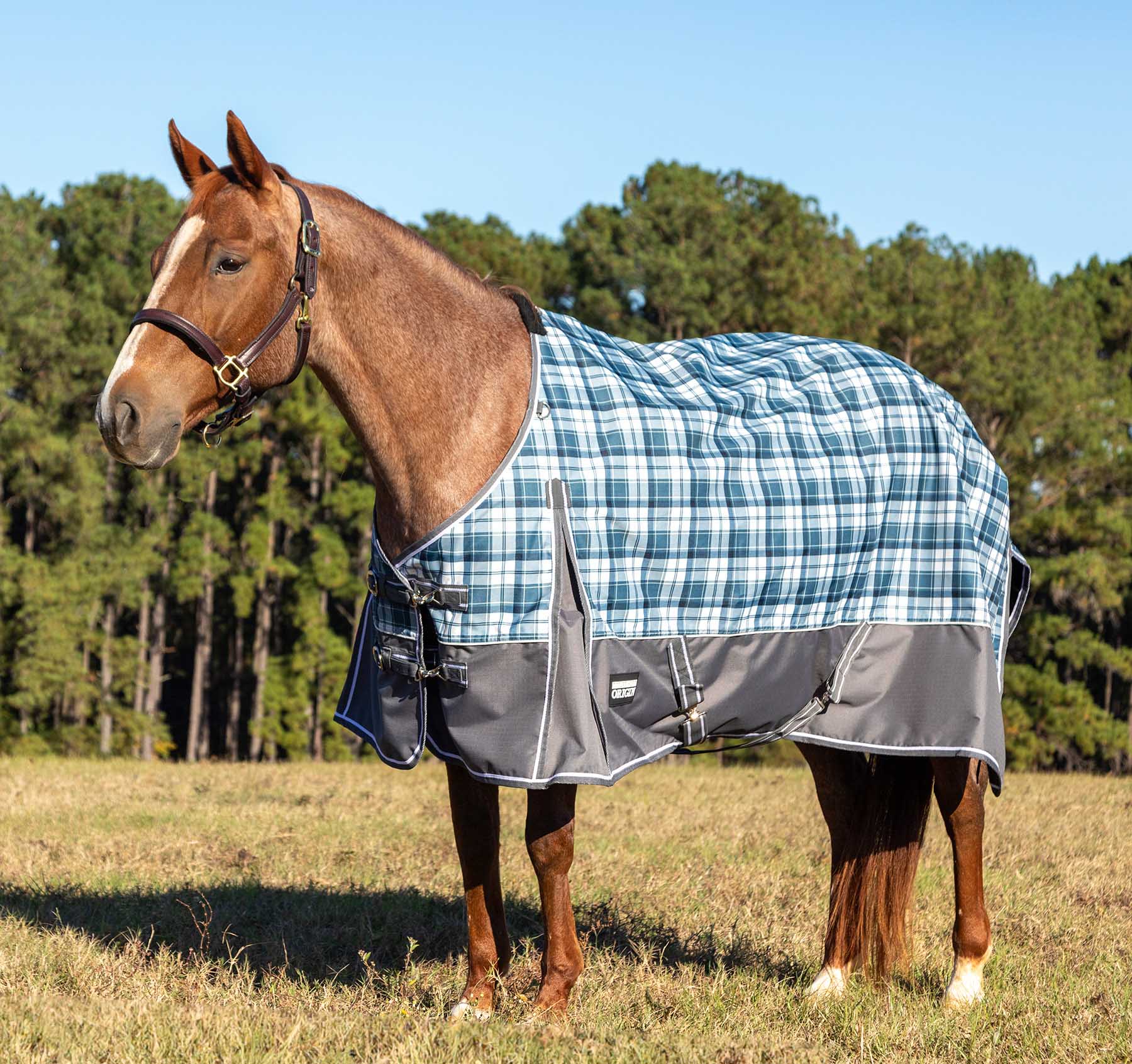 Jeffers Poplar Head "Origin" 600D Turnout Sheet - 0g Lightweight Waterproof Horse Blanket with Standard Neck & Tail Flap - Image 1