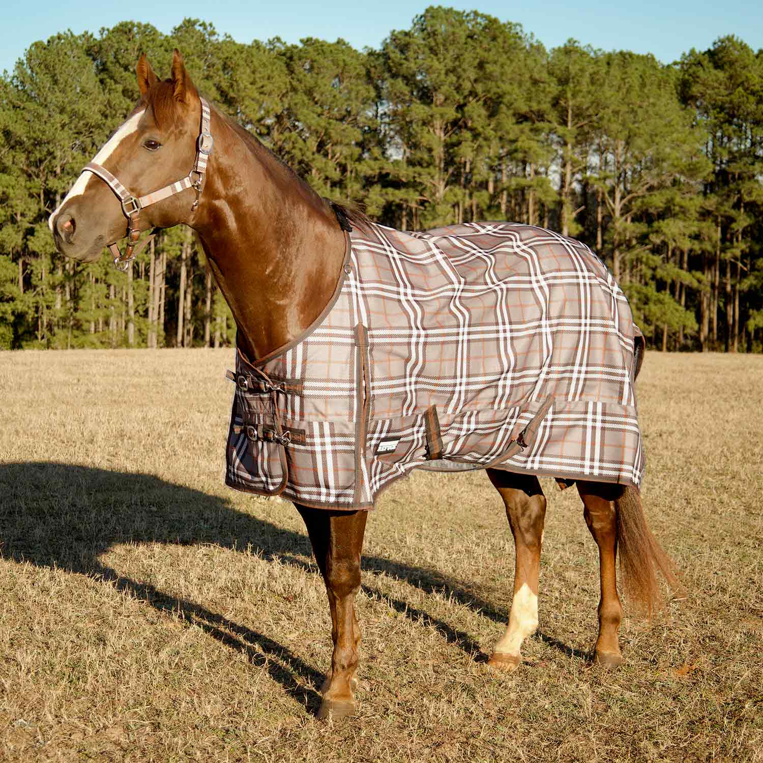Jeffers Poplar Head "Refuge" 1200D Medium Weight Turnout Blanket, 240g - Waterproof, Breathable Horse Blanket - Image 1
