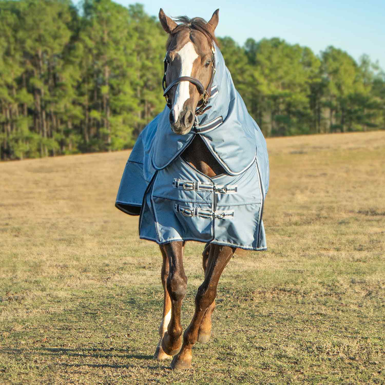 Jeffers Poplar Head "Refuge" 1200 Denier Turnout Blanket with Detachable Neck, 360 Gram, Hamilton Blue - Image 3