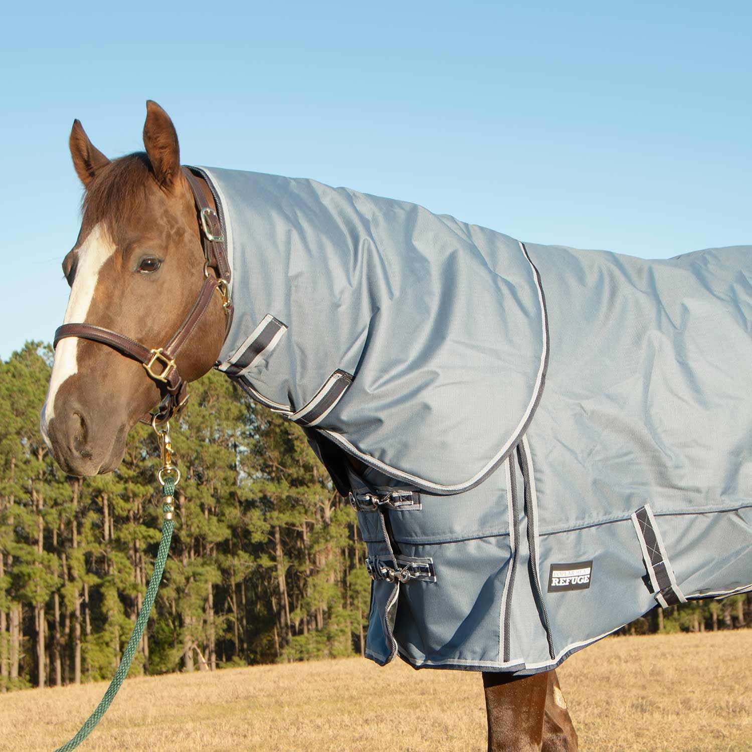 Jeffers Poplar Head "Refuge" 1200 Denier Turnout Blanket with Detachable Neck, 360 Gram, Hamilton Blue - Image 1