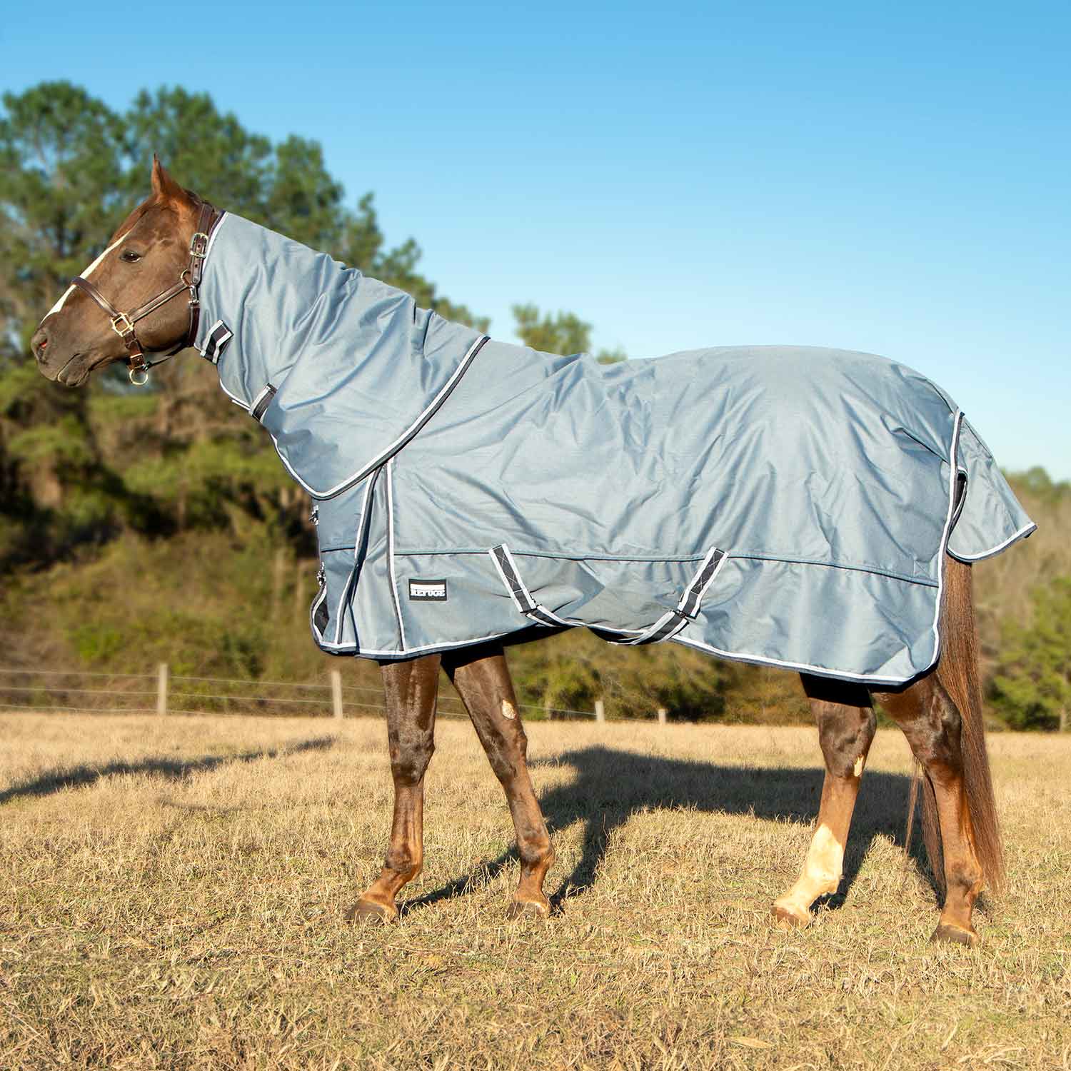 Jeffers Poplar Head "Refuge" 1200 Denier Turnout Blanket with Detachable Neck, 360 Gram, Hamilton Blue - Image 2