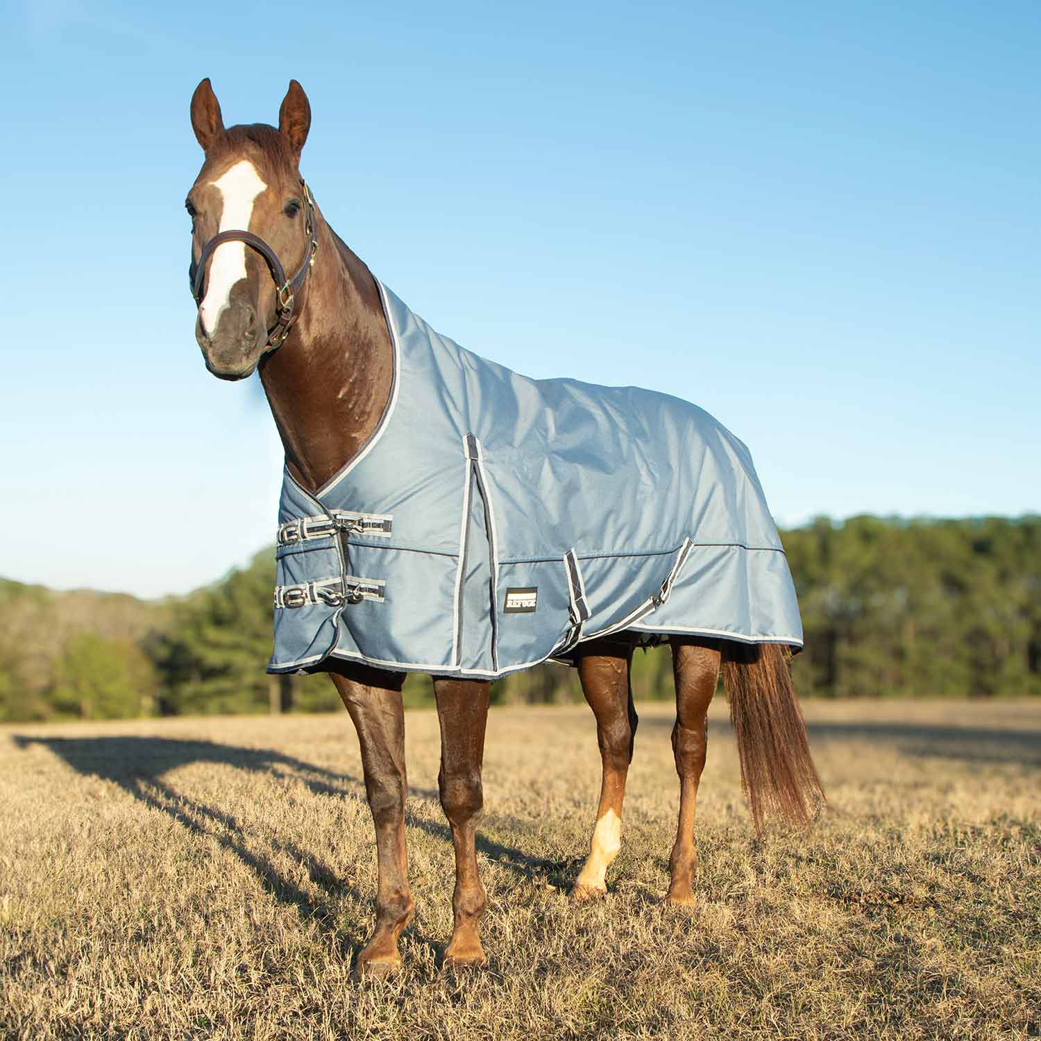 Jeffers Poplar Head "Refuge" 1200 Denier Turnout Blanket with High Neck, 240 Gram, Hamilton Blue - Image 1