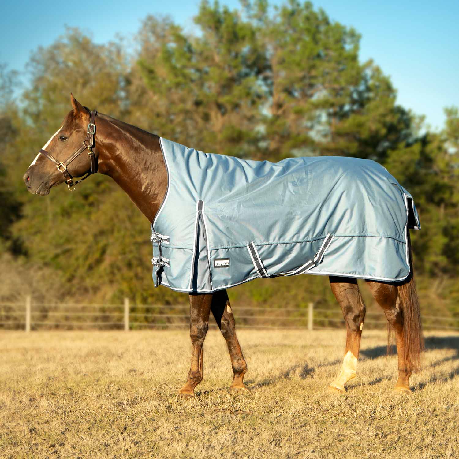 Jeffers Poplar Head "Refuge" 1200 Denier Turnout Blanket with High Neck, 240 Gram, Hamilton Blue - Image 2