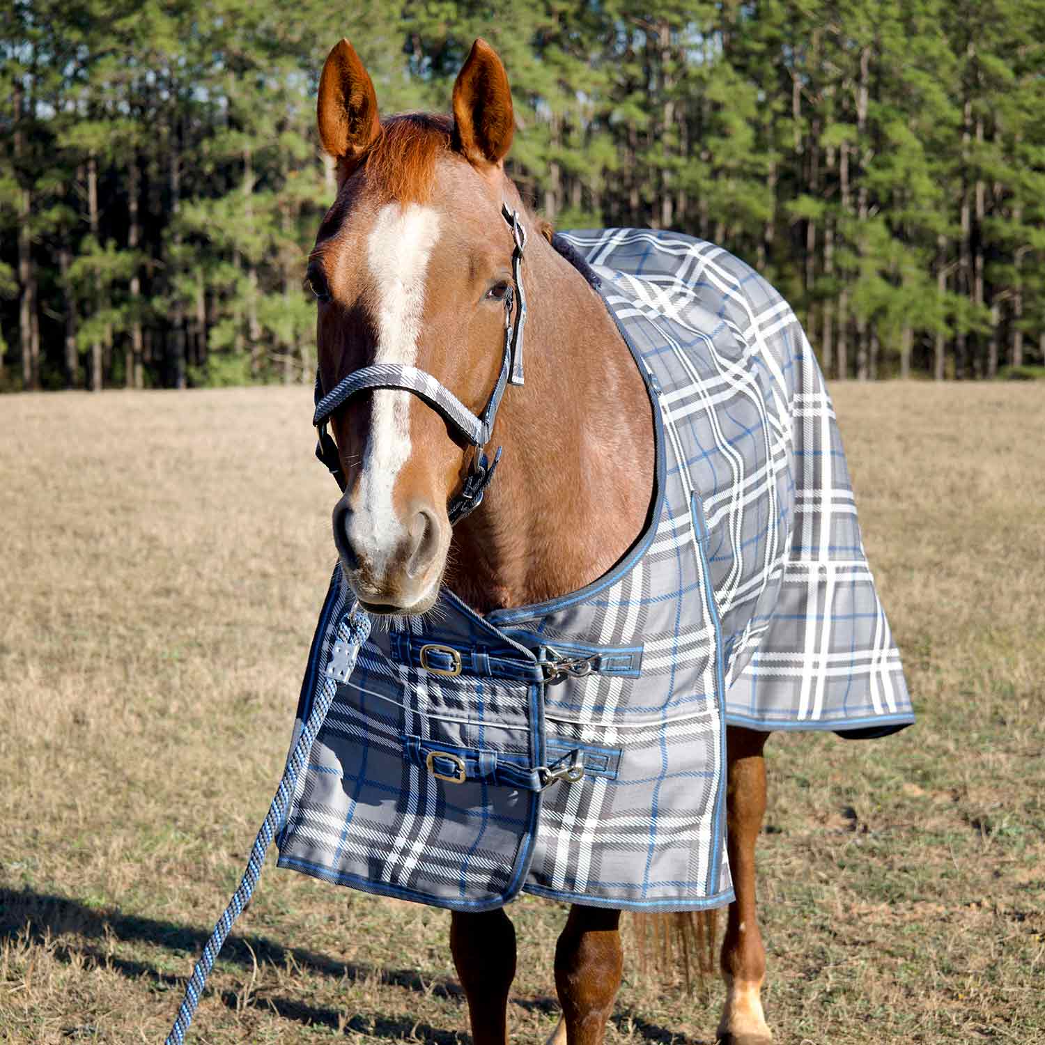 Jeffers Poplar Head "Refuge" 1200D Waterproof Turnout Sheet, 0g Lightweight Horse Blanket - Image 1