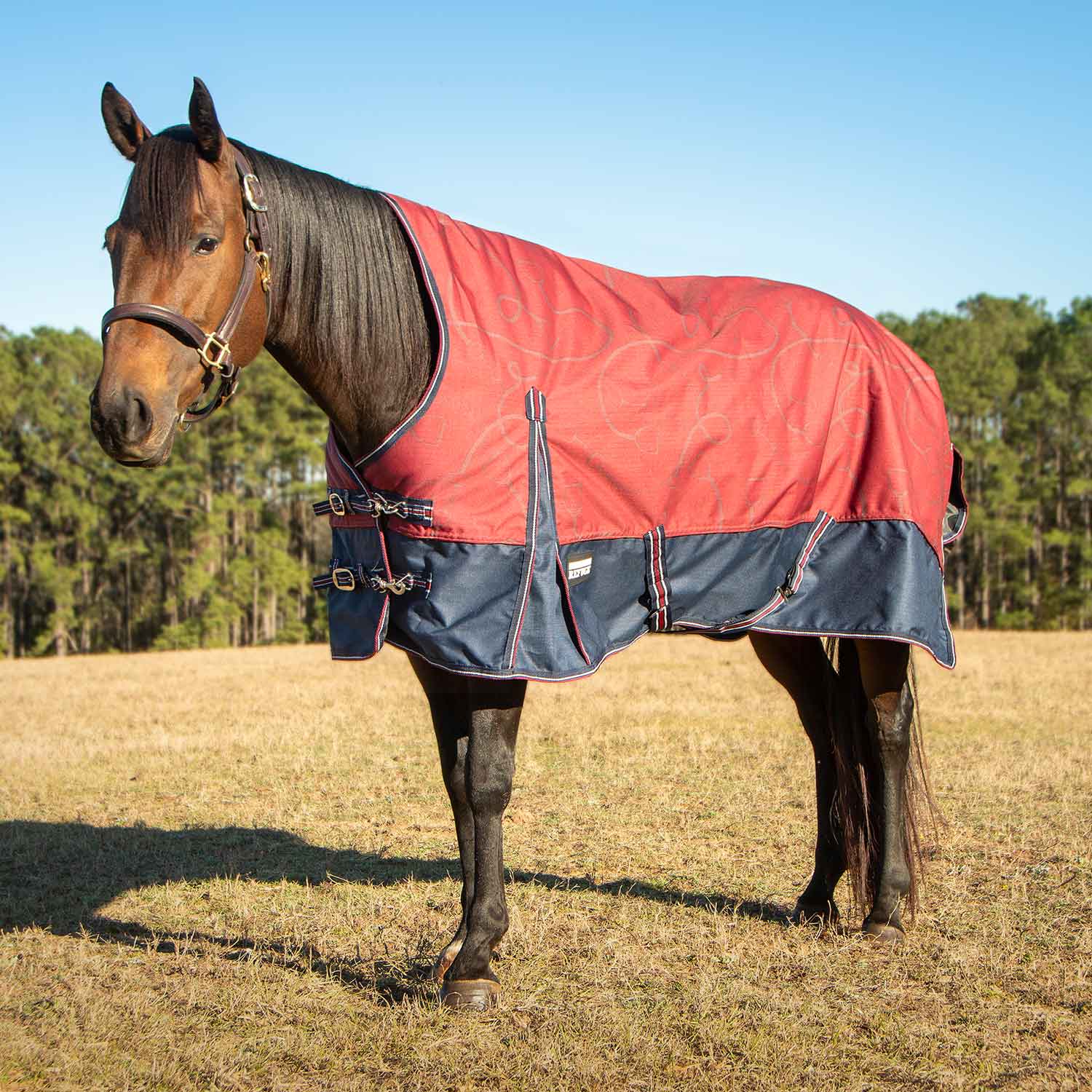 Jeffers Poplar Head Uniquely English 1200 Denier Turnout Blanket with High Neck, 240 Gram, Merlot Snaffles & Irons - Image 1