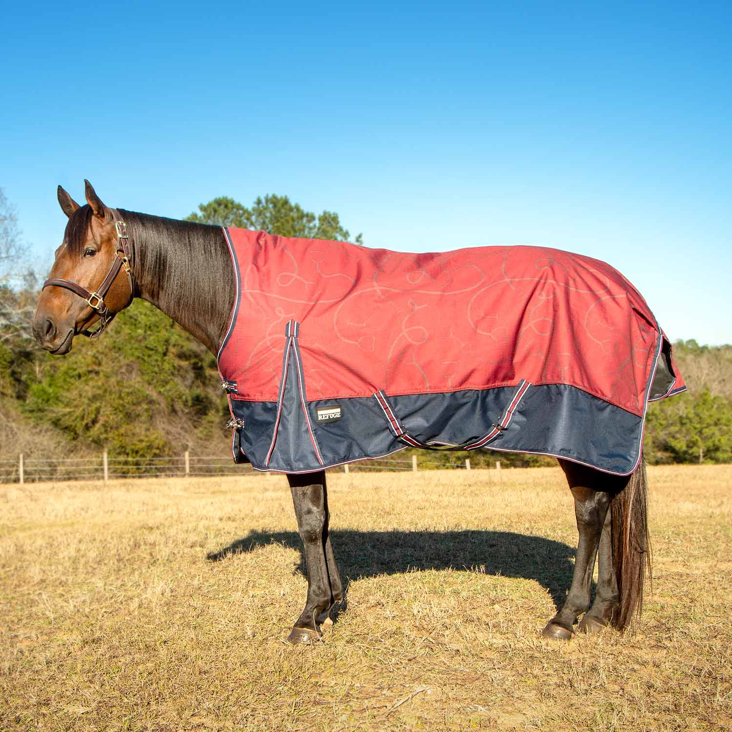 Jeffers Poplar Head Uniquely English 1200 Denier Turnout Blanket with High Neck, 240 Gram, Merlot Snaffles & Irons - Image 2