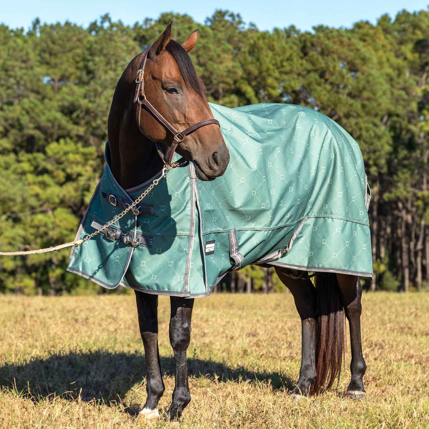 Jeffers Poplar Head Uniquely English 1200D Turnout Sheet, 0g - Waterproof & Breathable Lightweight Horse Blanket - Image 1