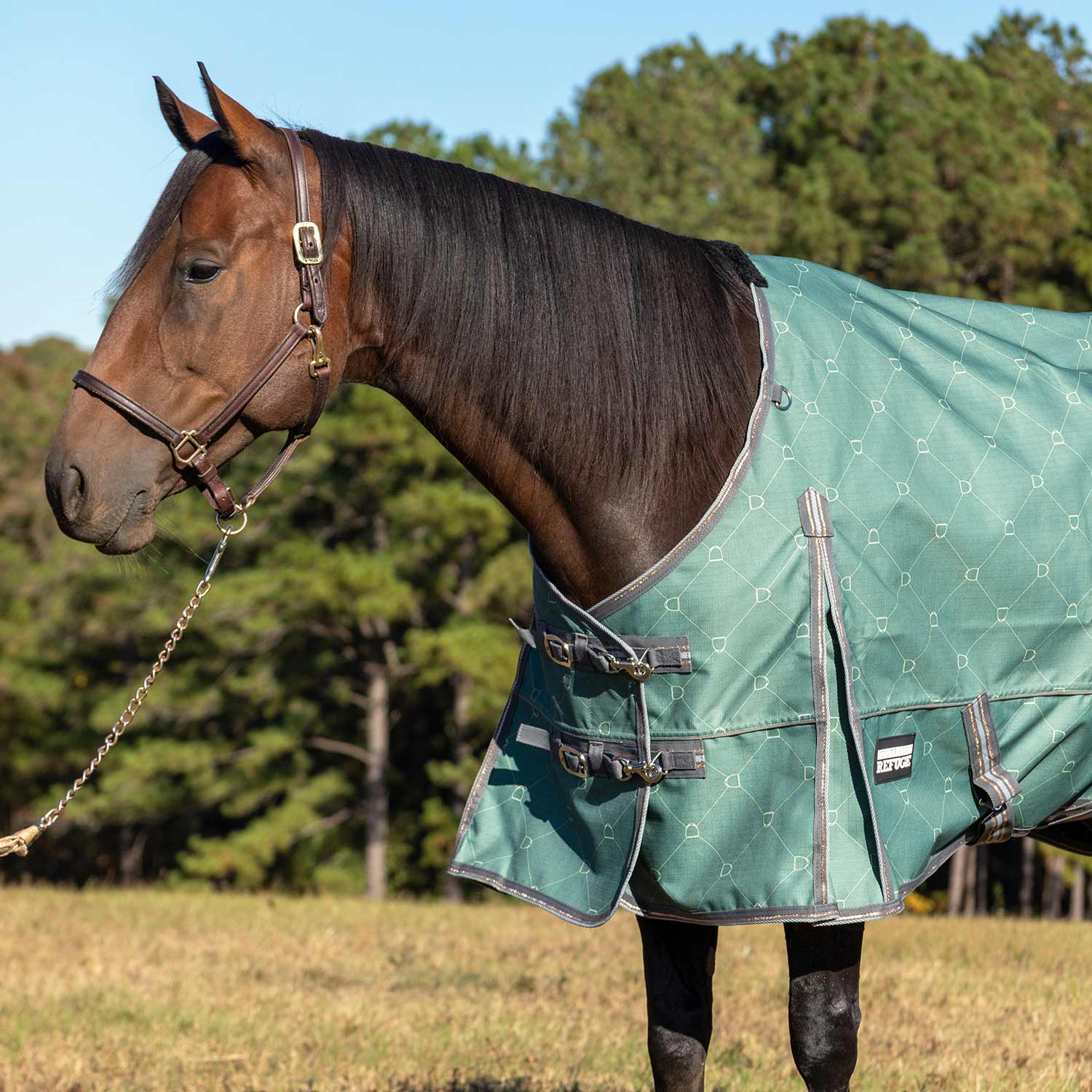 Jeffers Poplar Head Uniquely English 1200D Turnout Sheet, 0g - Waterproof & Breathable Lightweight Horse Blanket - Image 2