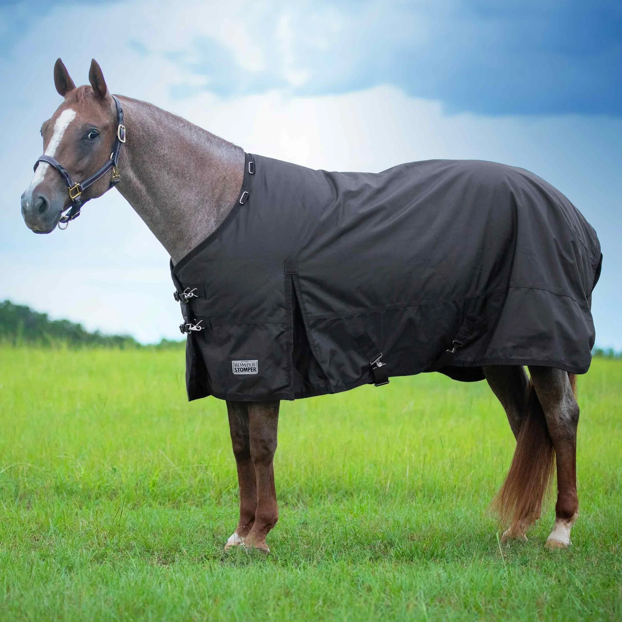 Jeffers Romper Stomper Horse Turnout Sheet, 1680 Denier, 0 Gram - Image 1