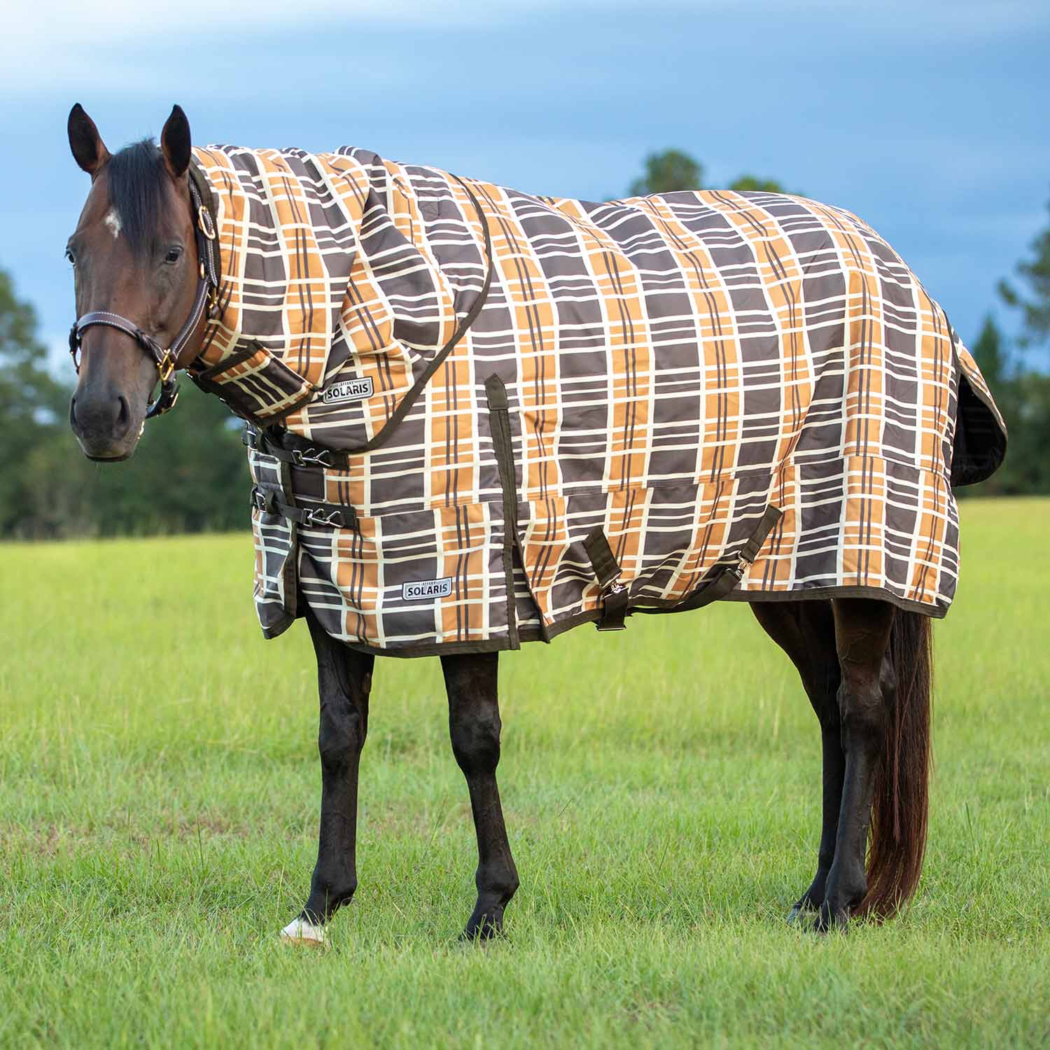Jeffers Solaris 1200 Denier Heavy Weight Horse Turnout Blanket with Neck Rug, 360g Fill, Brown & Cream Plaid - Image 1