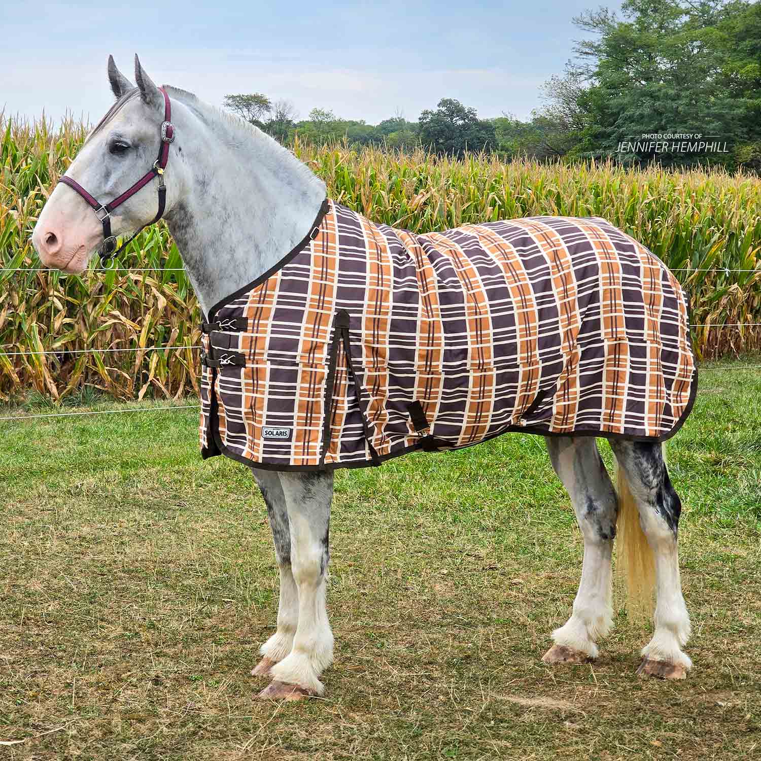 Jeffers Solaris 1200 Denier Draft Horse Turnout Blanket, 240g, Brown & Cream Plaid - Image 1