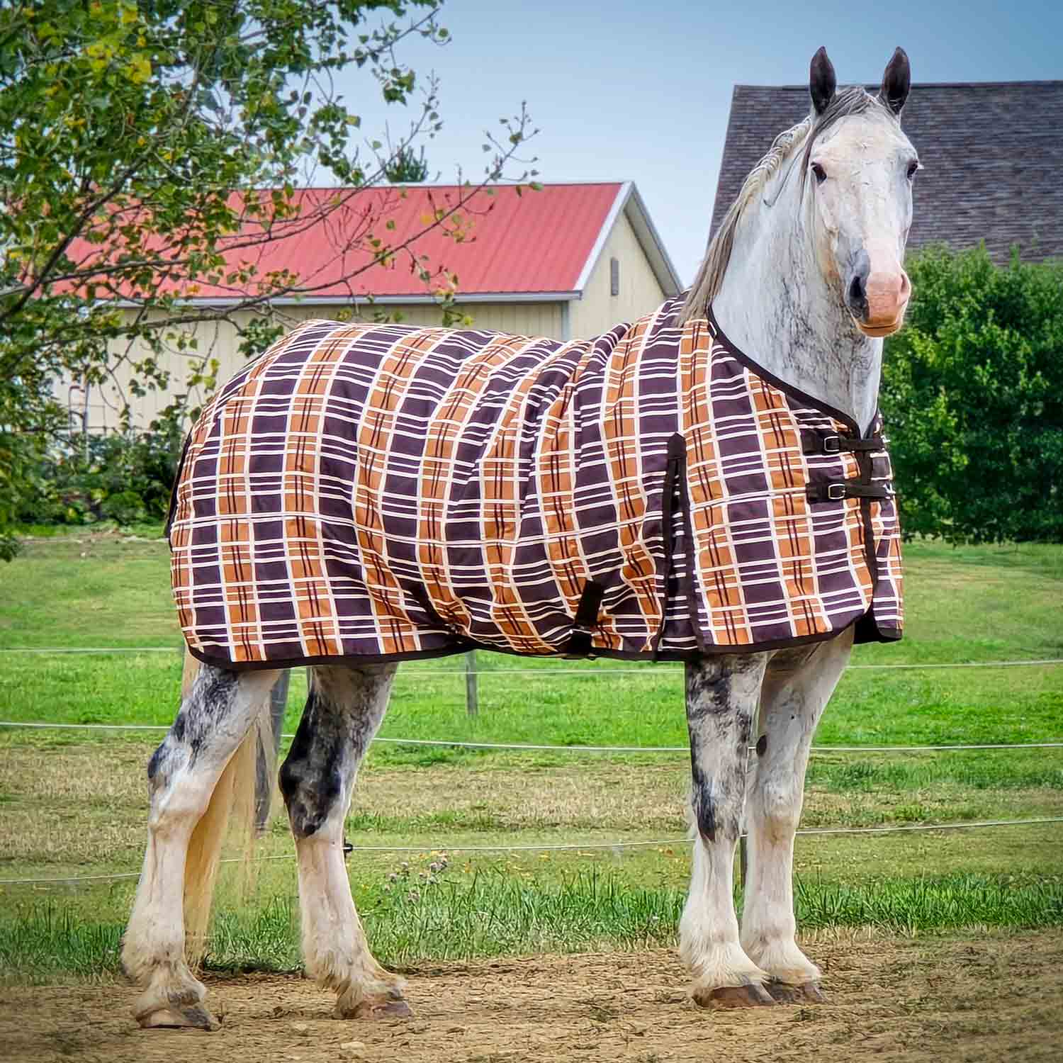 Jeffers Solaris 1200 Denier Draft Horse Turnout Sheet, 0g Fill, Brown & Cream Plaid - Image 1