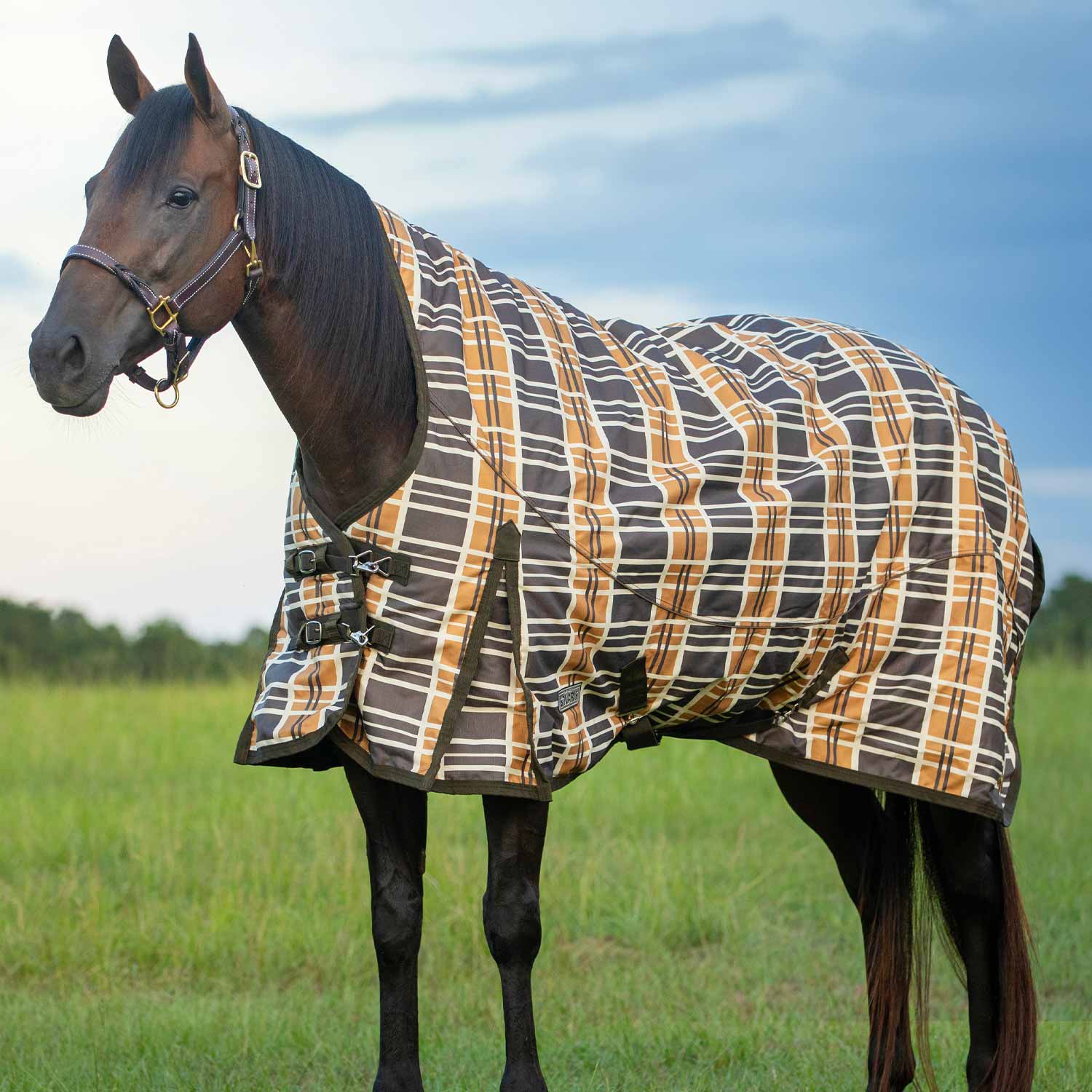 Jeffers Solaris 1200D Extended Neck Horse Turnout Blanket, 360 Gram, Brown & Cream Plaid - Image 1