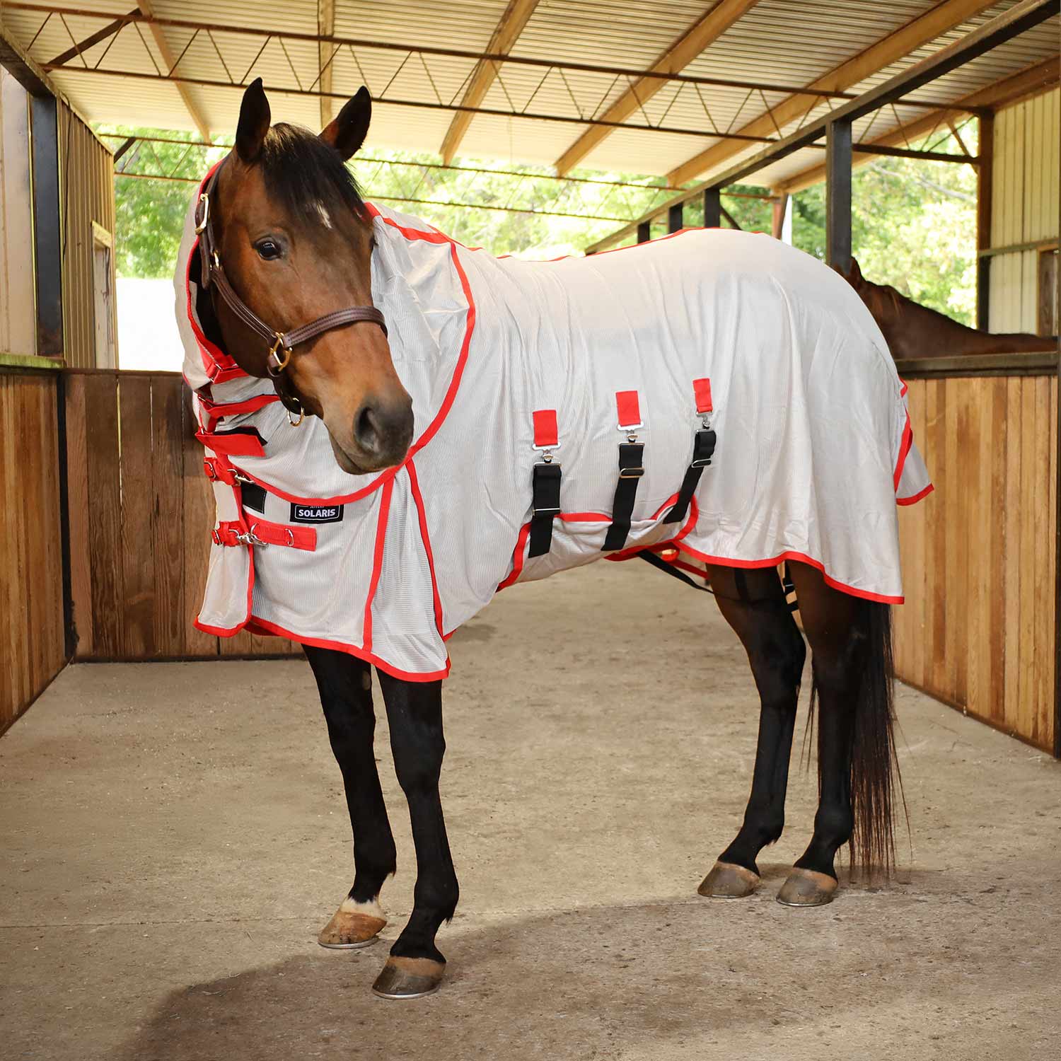 Jeffers Solaris Horse Fly Sheet with Detachable Neck, Grey & Red - Image 1