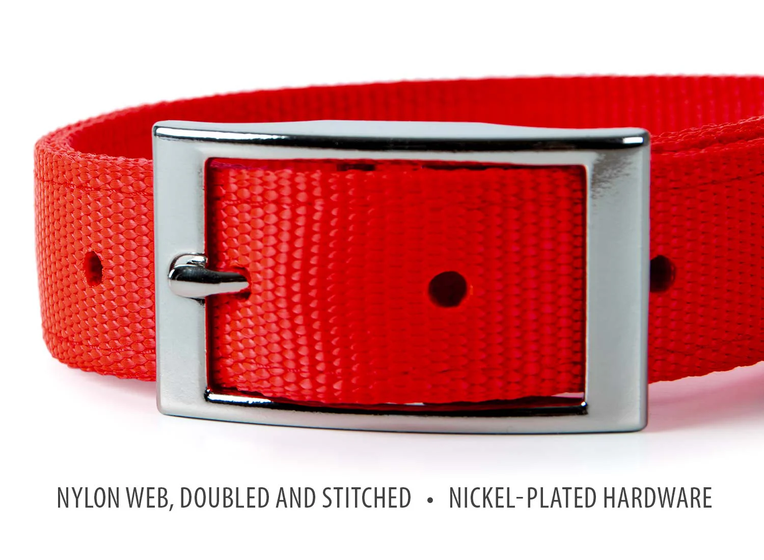 Jeffers Solid Web Nylon Dog Collar - Image 2