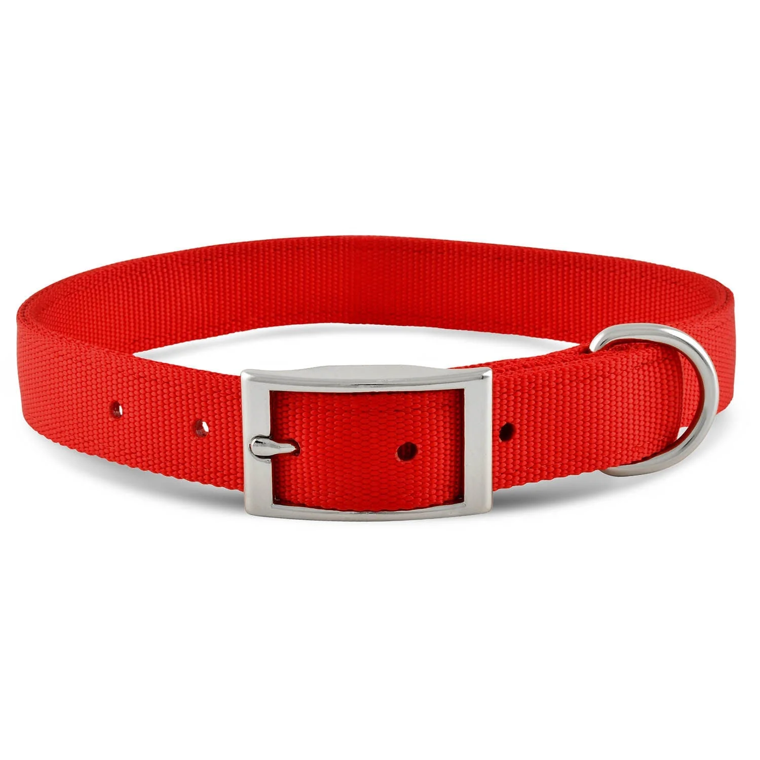 Jeffers Solid Web Nylon Dog Collar