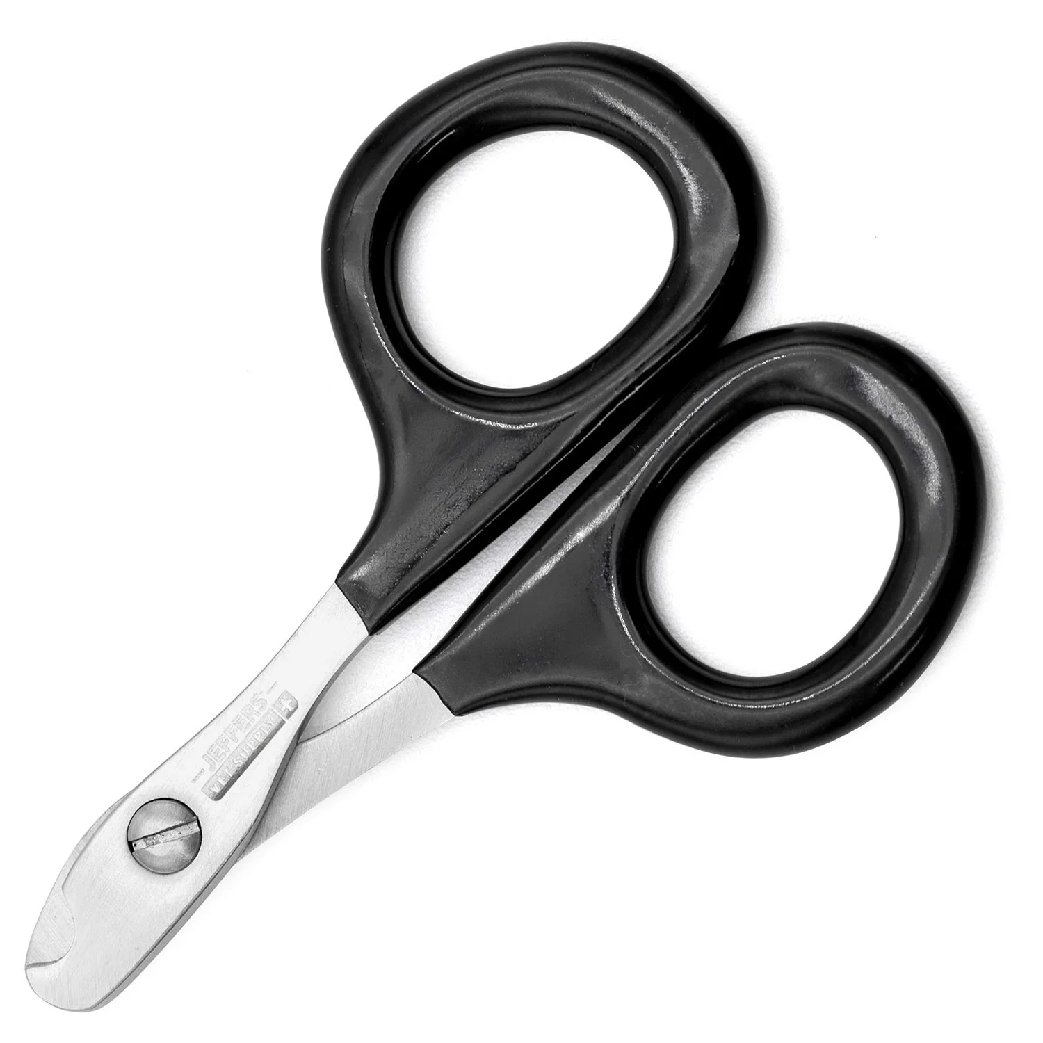 Jeffers Stainless Steel Cat Claw Scissors – Easy & Safe Nail Clippers for Cats, Birds, and Small Pets - Image 1