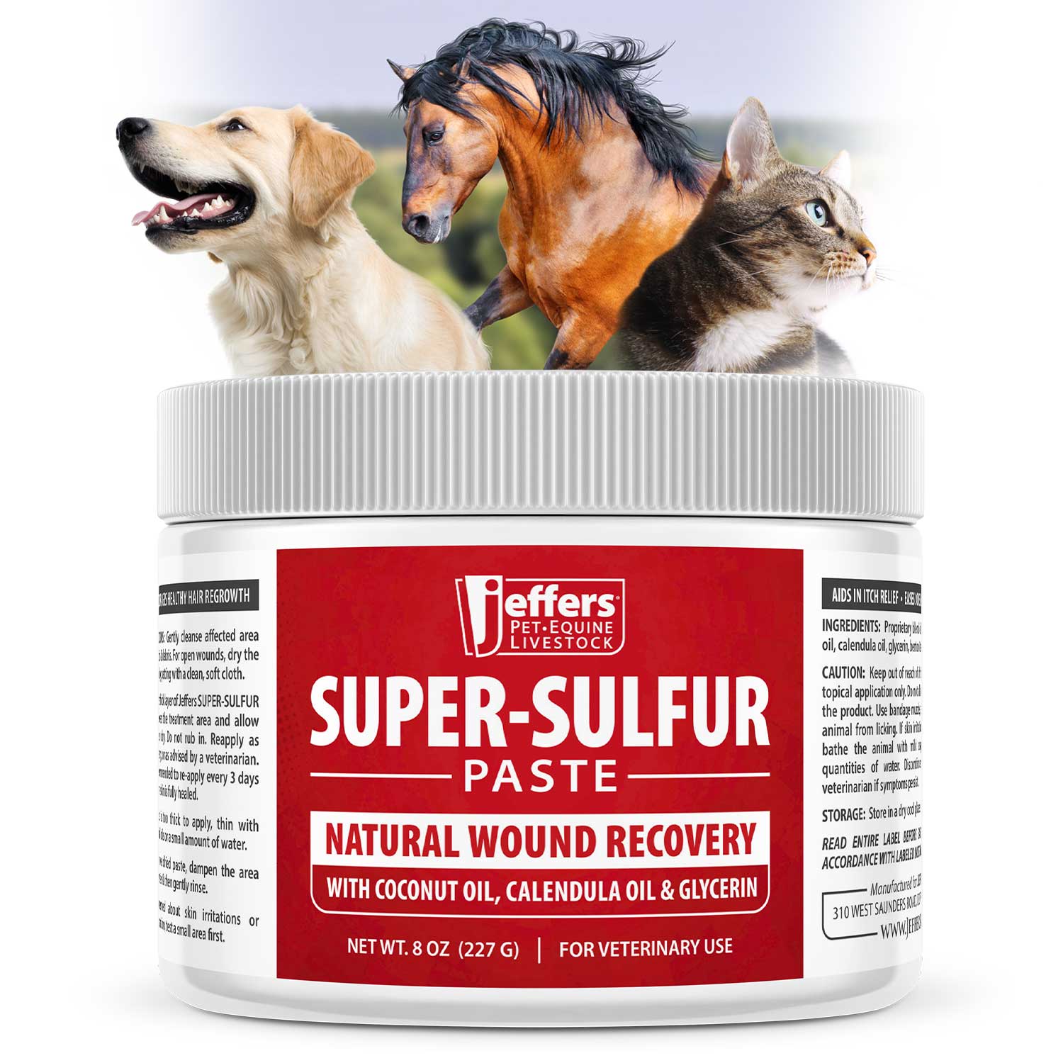 Jeffers Super-Sulfur Skin & Wound Healing Paste for Pets, Horses, & Livestock - Image 1