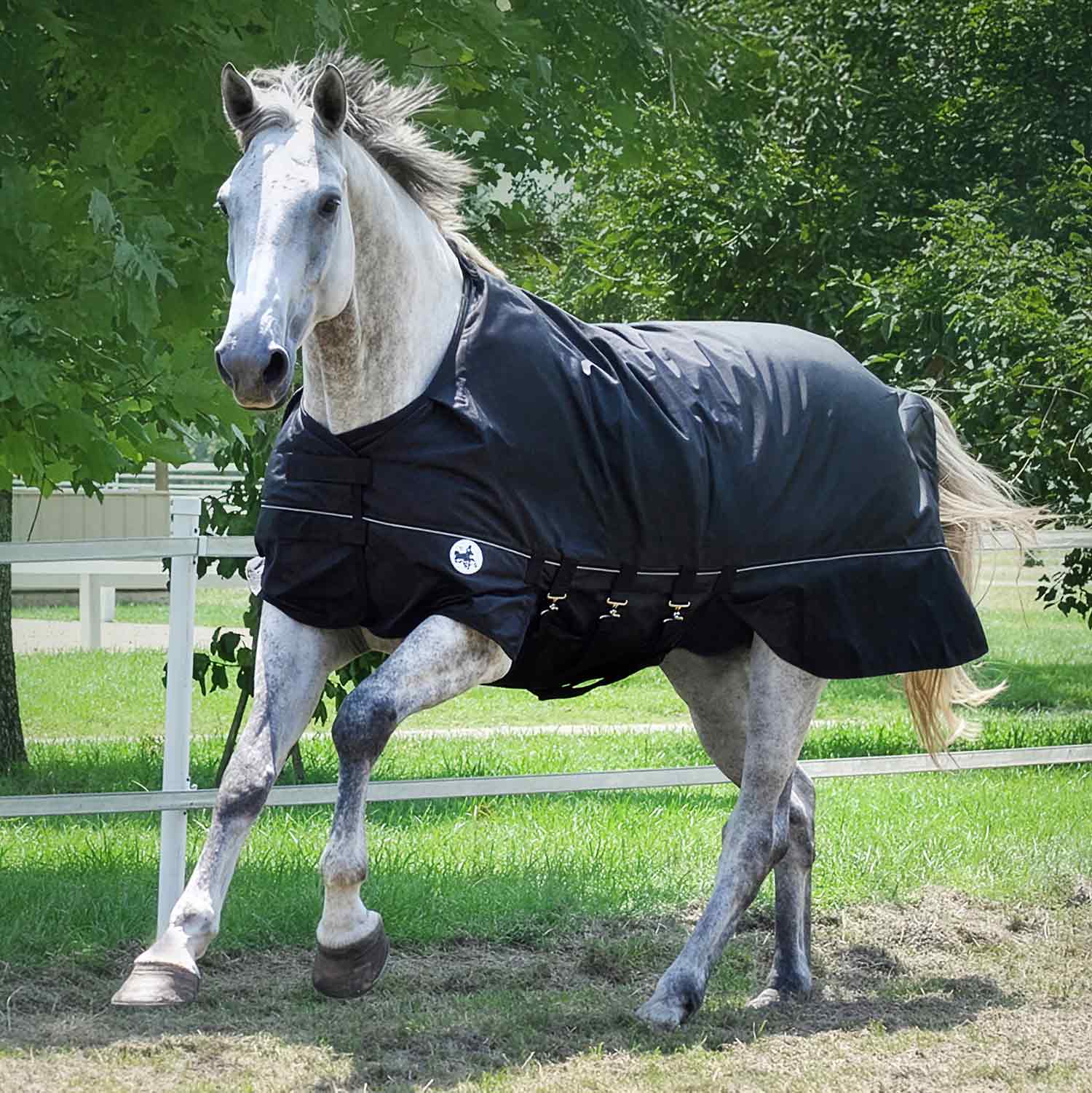 Jeffers Supreme Plus 1680 Denier Heavy Weight Horse Turnout Blanket, 360 Gram Fill, Black - Image 1