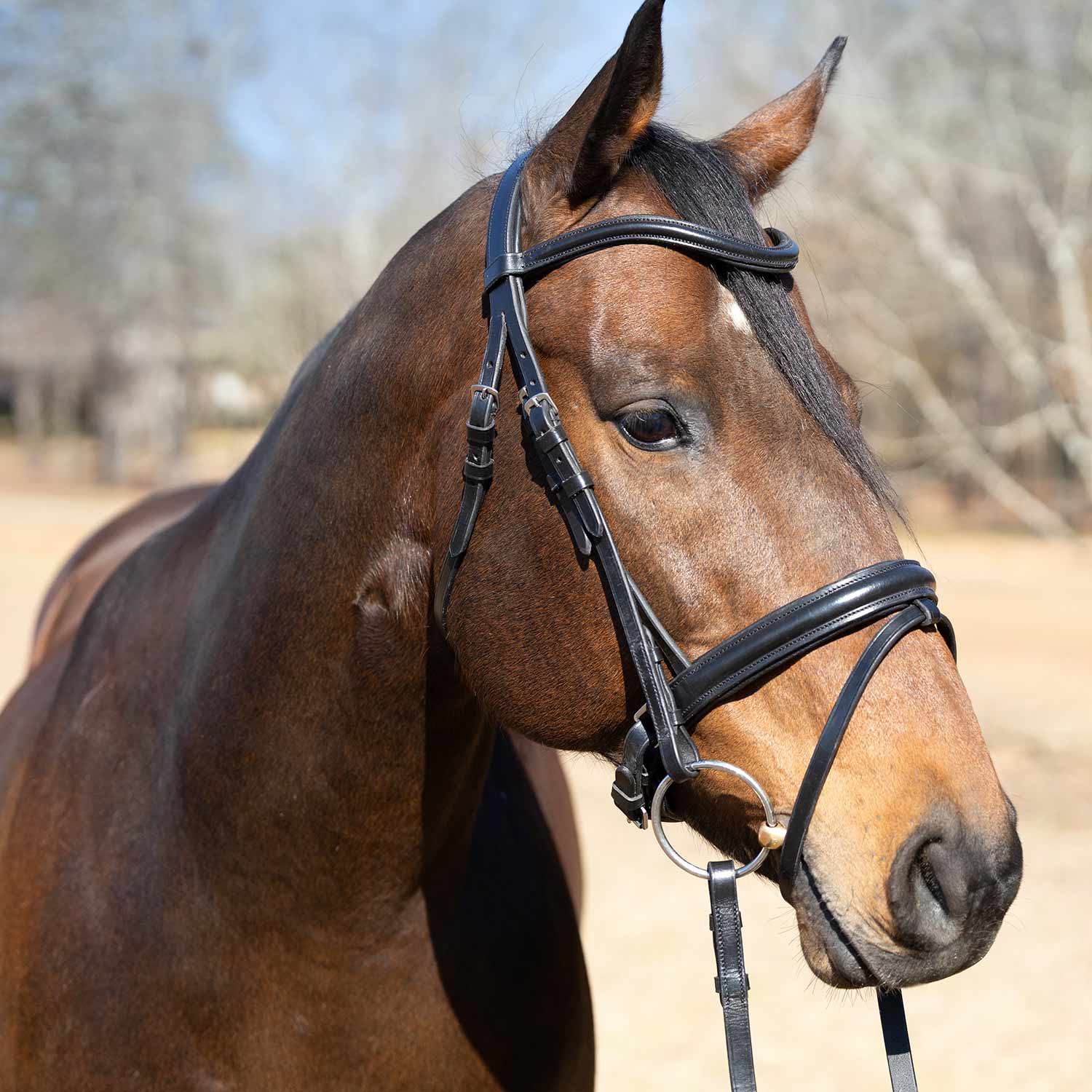 Jeffers Uniquely English "Aachen" Leather Dressage Bridle with Reins for Horses - Image 1