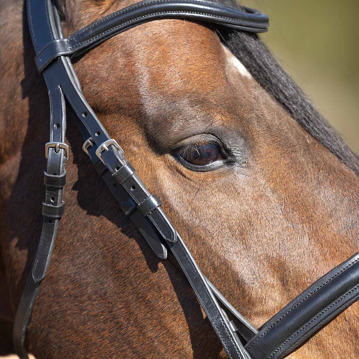 Jeffers Uniquely English "Aachen" Leather Dressage Bridle with Reins for Horses - Image 3