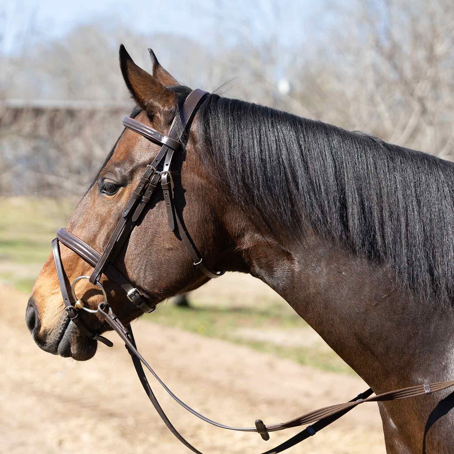 Jeffers Uniquely English "Blenheim" Leather Jumping Bridle with Reins for Horses - Image 1