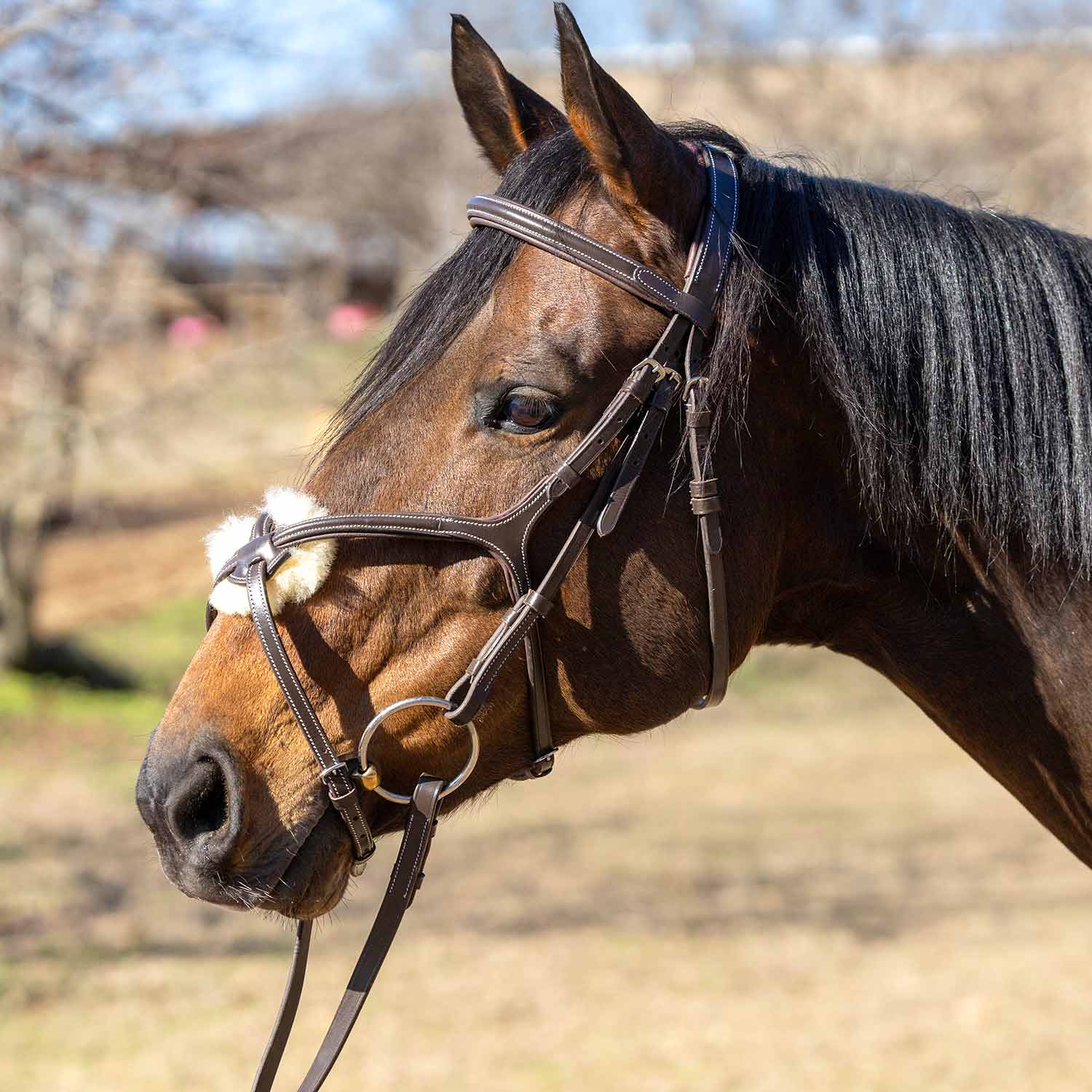 Jeffers Uniquely English Hickstead Figure-8 Bridle with Web Reins for Horses - Image 2