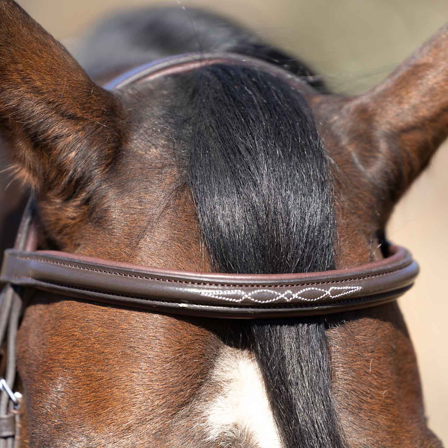 Jeffers Uniquely English "Kentucky" Fancy Stitched Leather Jumping Bridle for Horses - Image 3