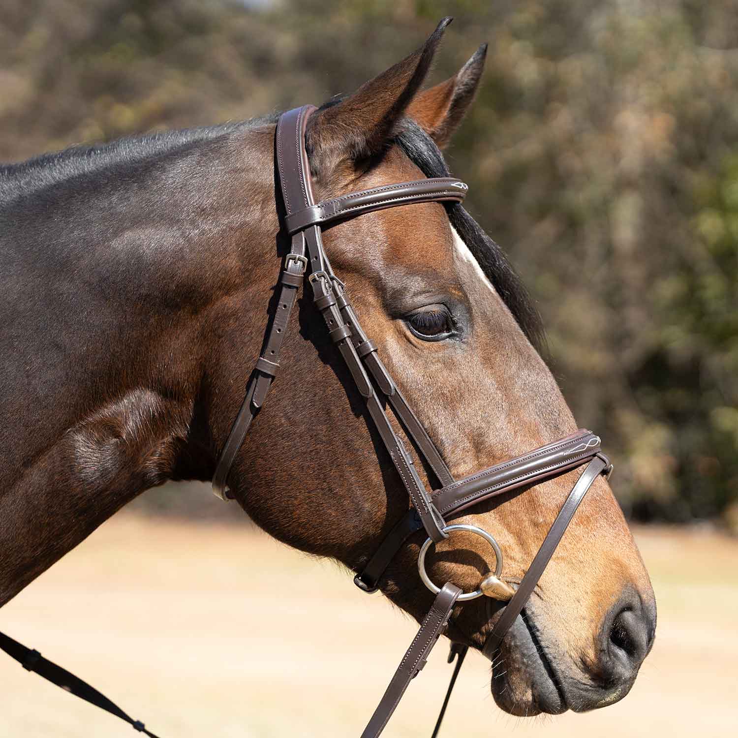 Jeffers Uniquely English "Kentucky" Fancy Stitched Leather Jumping Bridle for Horses - Image 2
