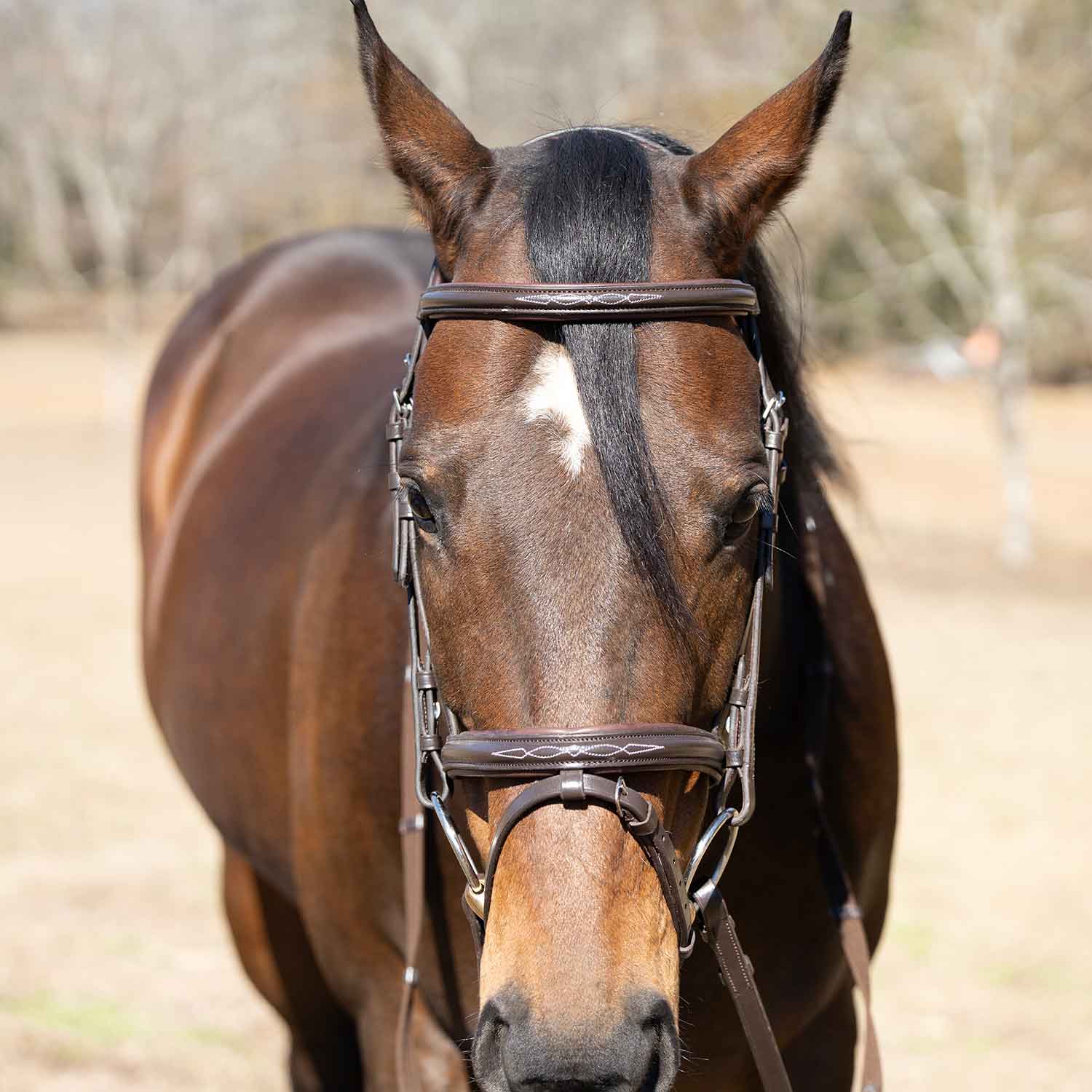Jeffers Uniquely English "Kentucky" Fancy Stitched Leather Jumping Bridle for Horses - Image 1