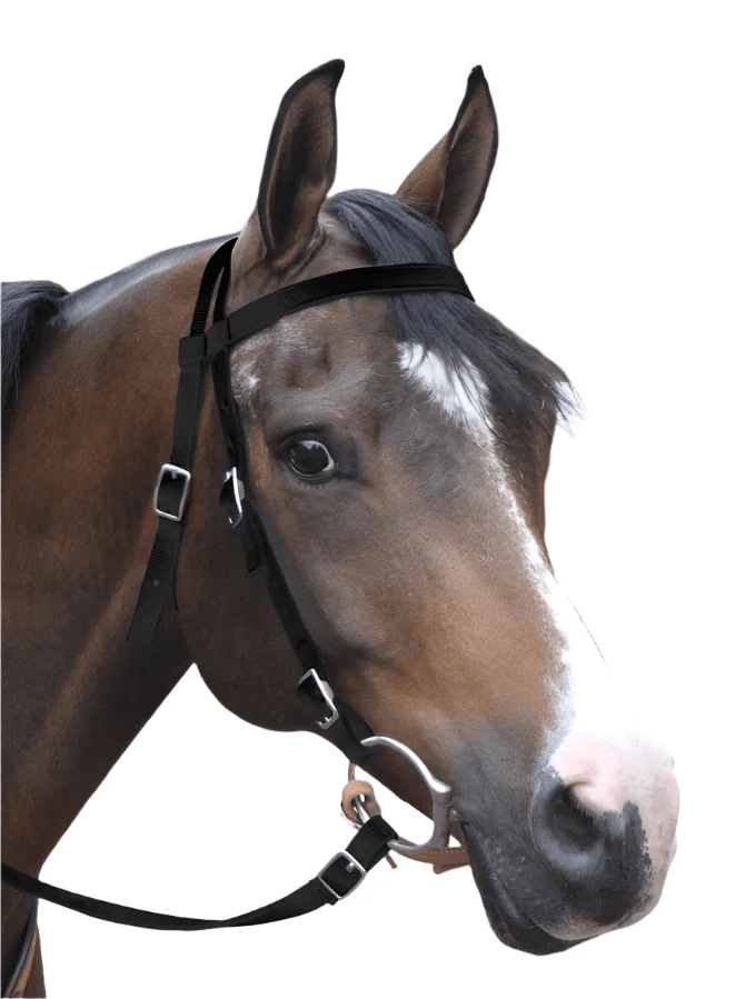 Jeffers Western Nylon Horse Bridle with 6' Split Reins Set - Image 1