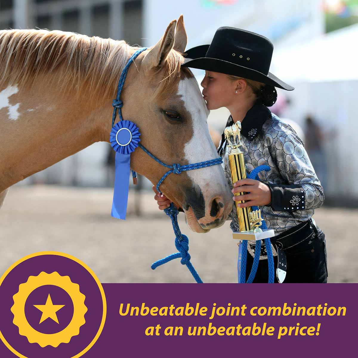 Joint Combo™ Pellets with Glucosamine and Chondroitin for Horses - Image 3