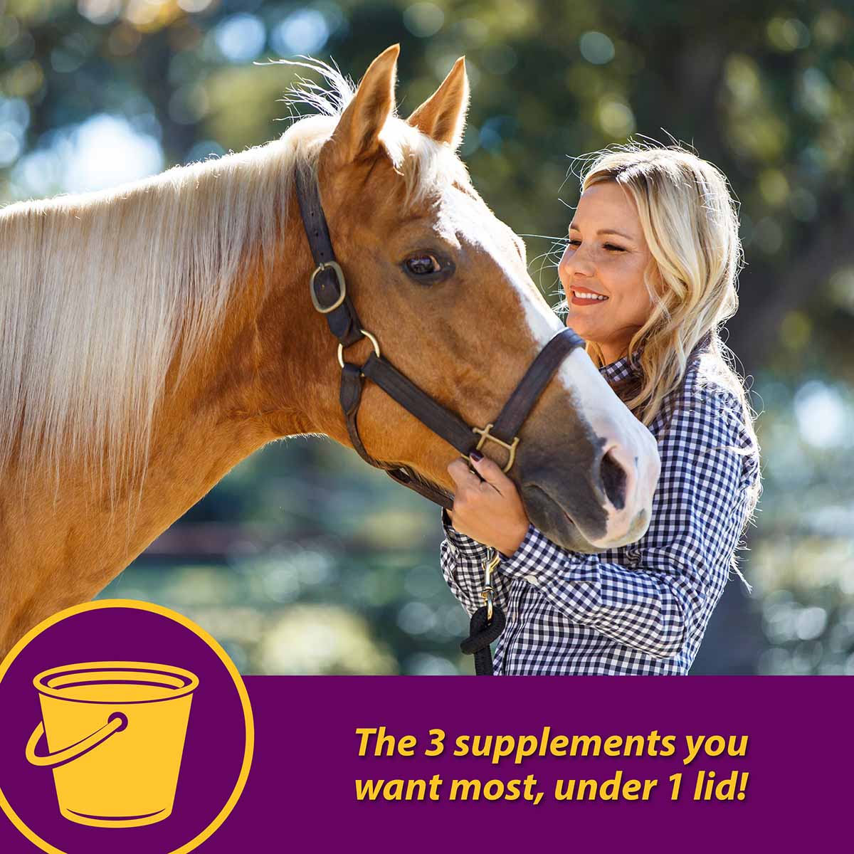 Joint Combo Hoof & Coat Supplement for Horses - Image 2