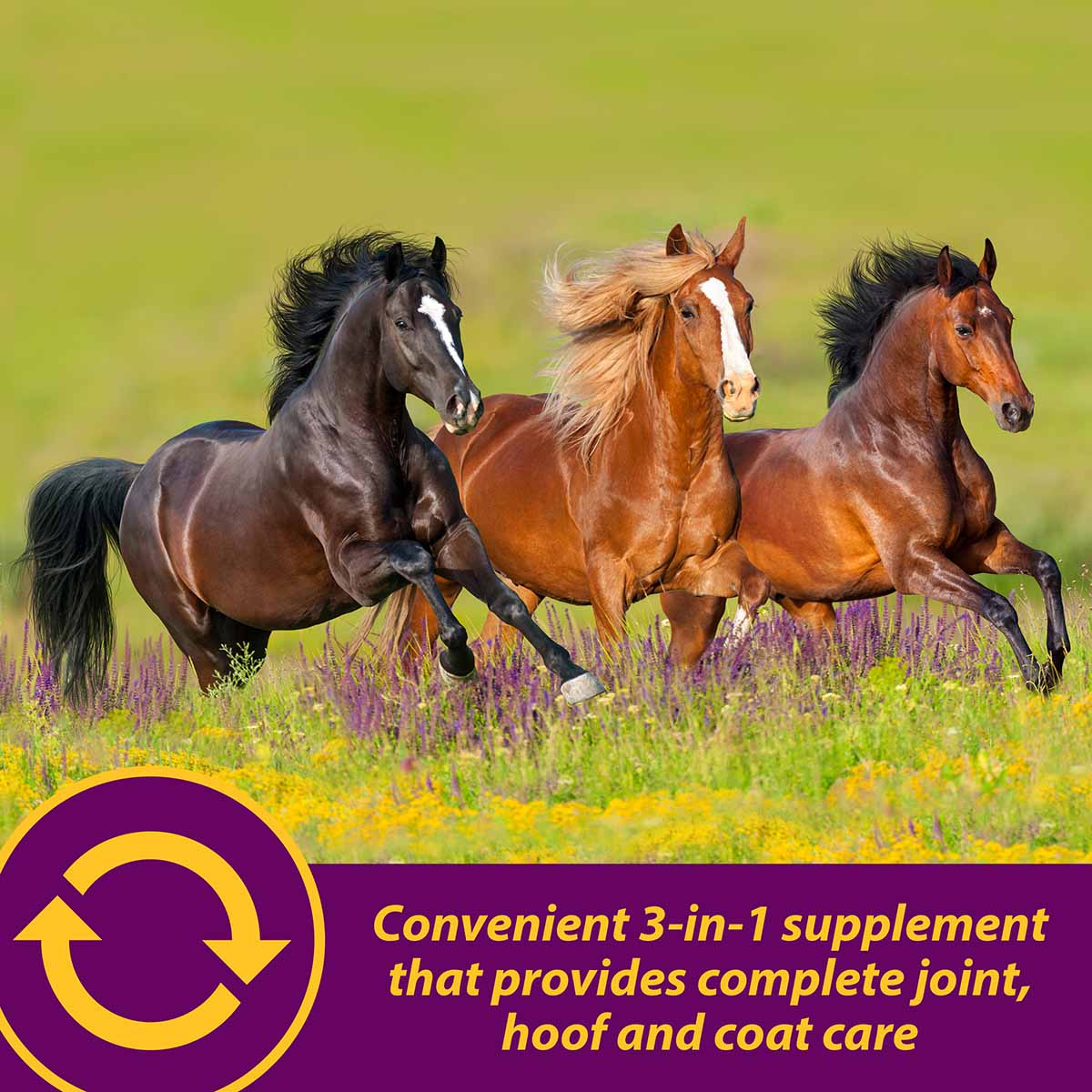 Joint Combo Hoof & Coat Supplement for Horses - Image 3