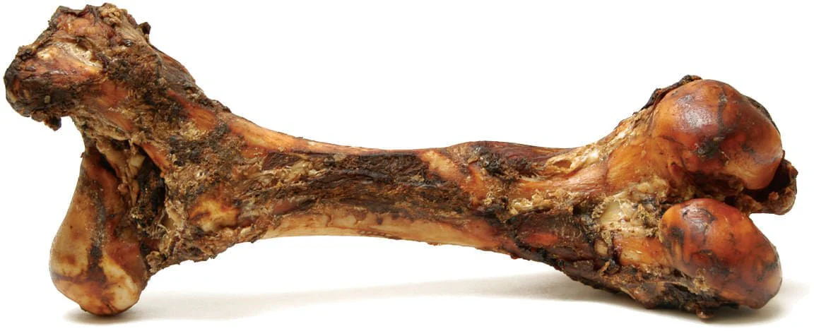 Jumbo Beef Bone for Medium to Large Dogs - Image 1