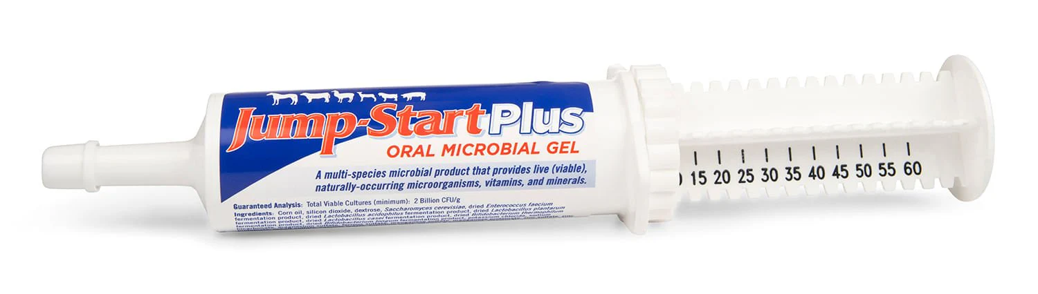 Jump-Start Plus Oral Microbial Gel for Animals, 60 g - Image 1
