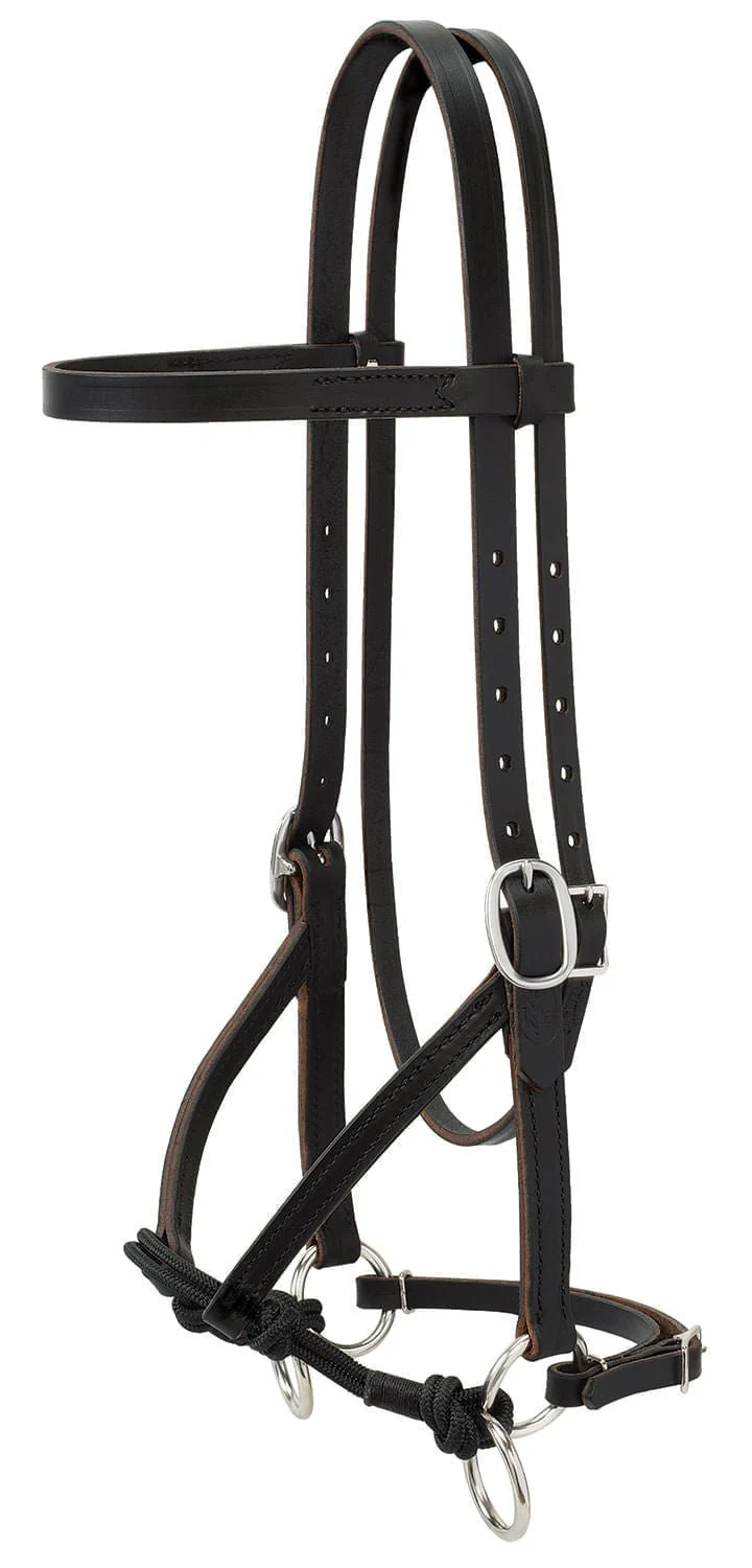 Justin Dunn Bitless Bridle - Image 1