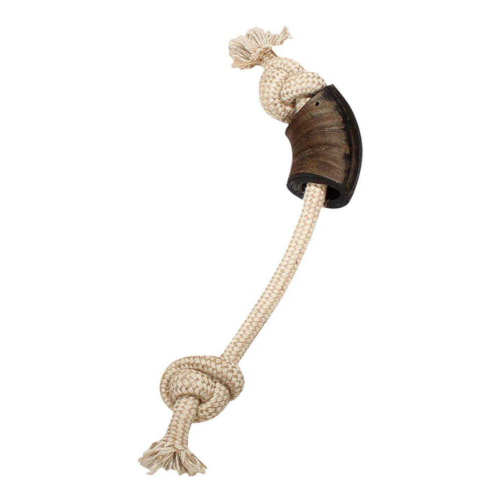 Jutey Family Cotton Horn with Rope Toy, 12" - Image 1