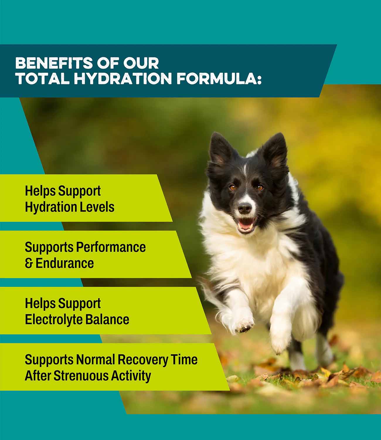 K9 Power Go Dog Total Hydration Formula for Dogs - Image 2