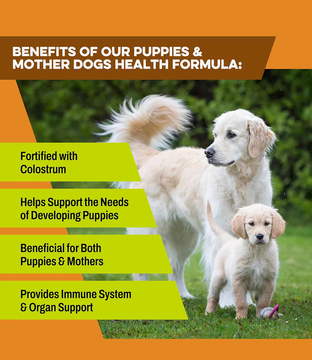 K9 Power Puppy Gold Health Formula for Puppies & Mother Dogs - Image 2