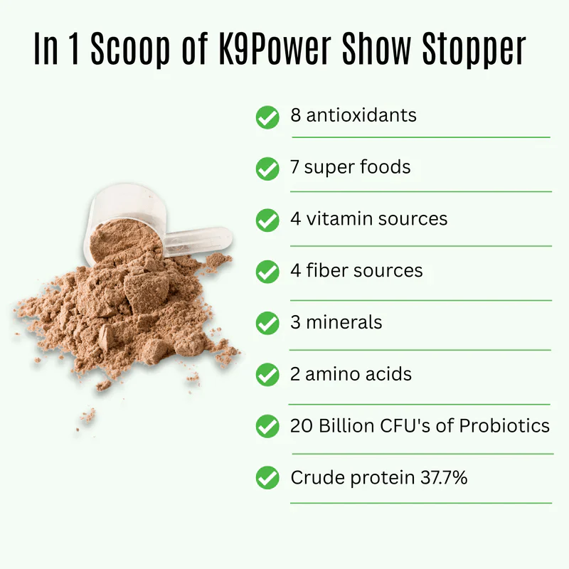 K9 Power Show Stopper Skin & Coat Supplement for Dogs - Image 2